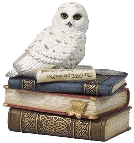 Snow Owl on Books Decorative Polystone Trinket Box