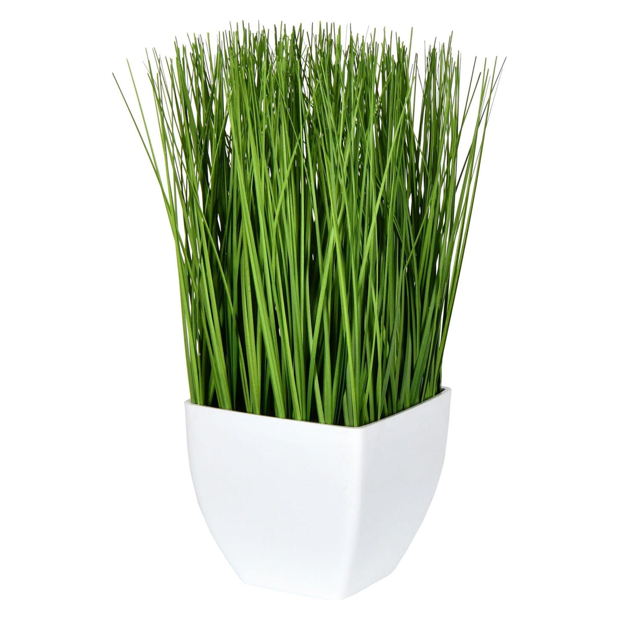 Vickerman 11.5" Artificial Green Potted Grass. In a 4.25"Lx4.25"Wx4"H base.