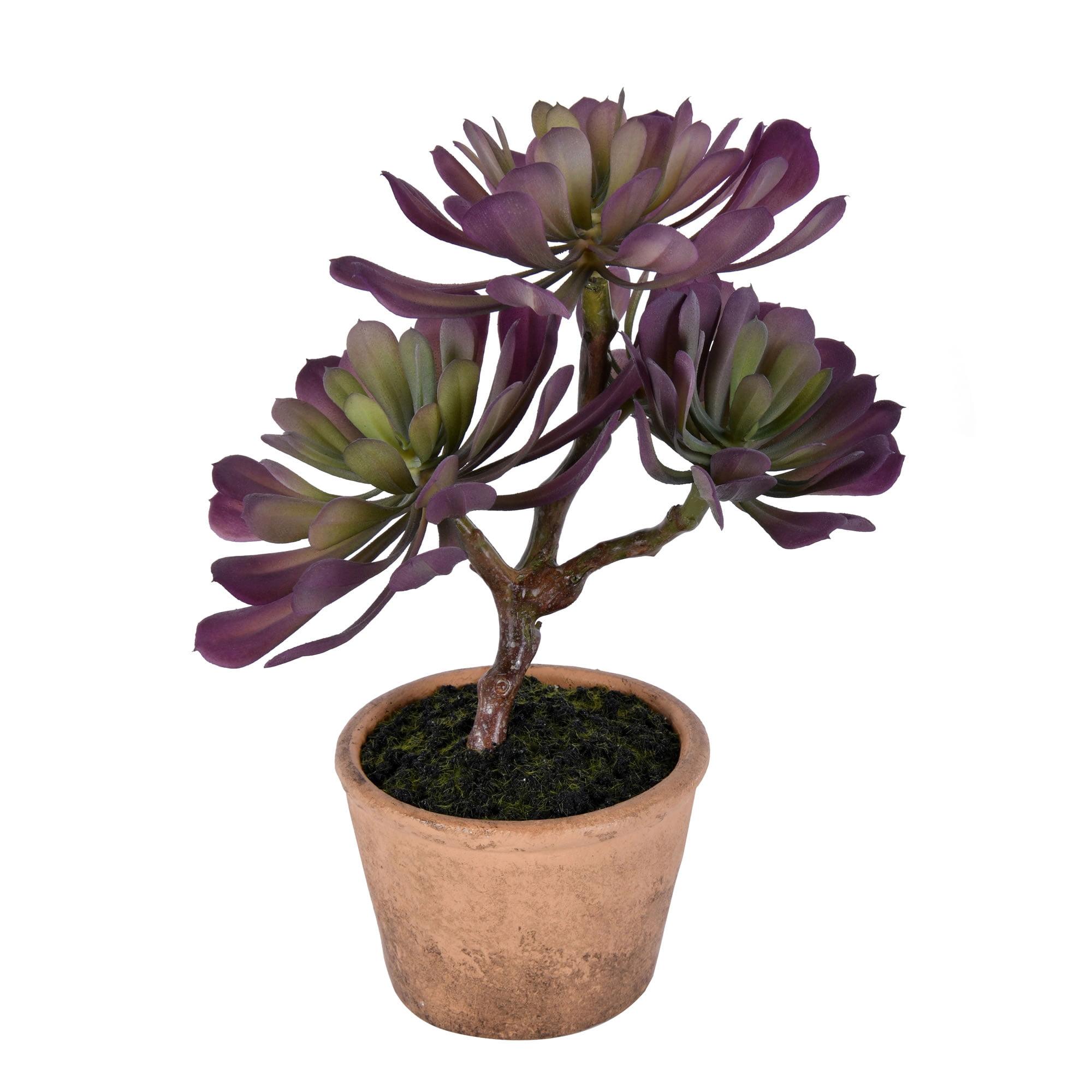 Festive Purple & Green Potted Succulent Centerpiece 12" Plastic