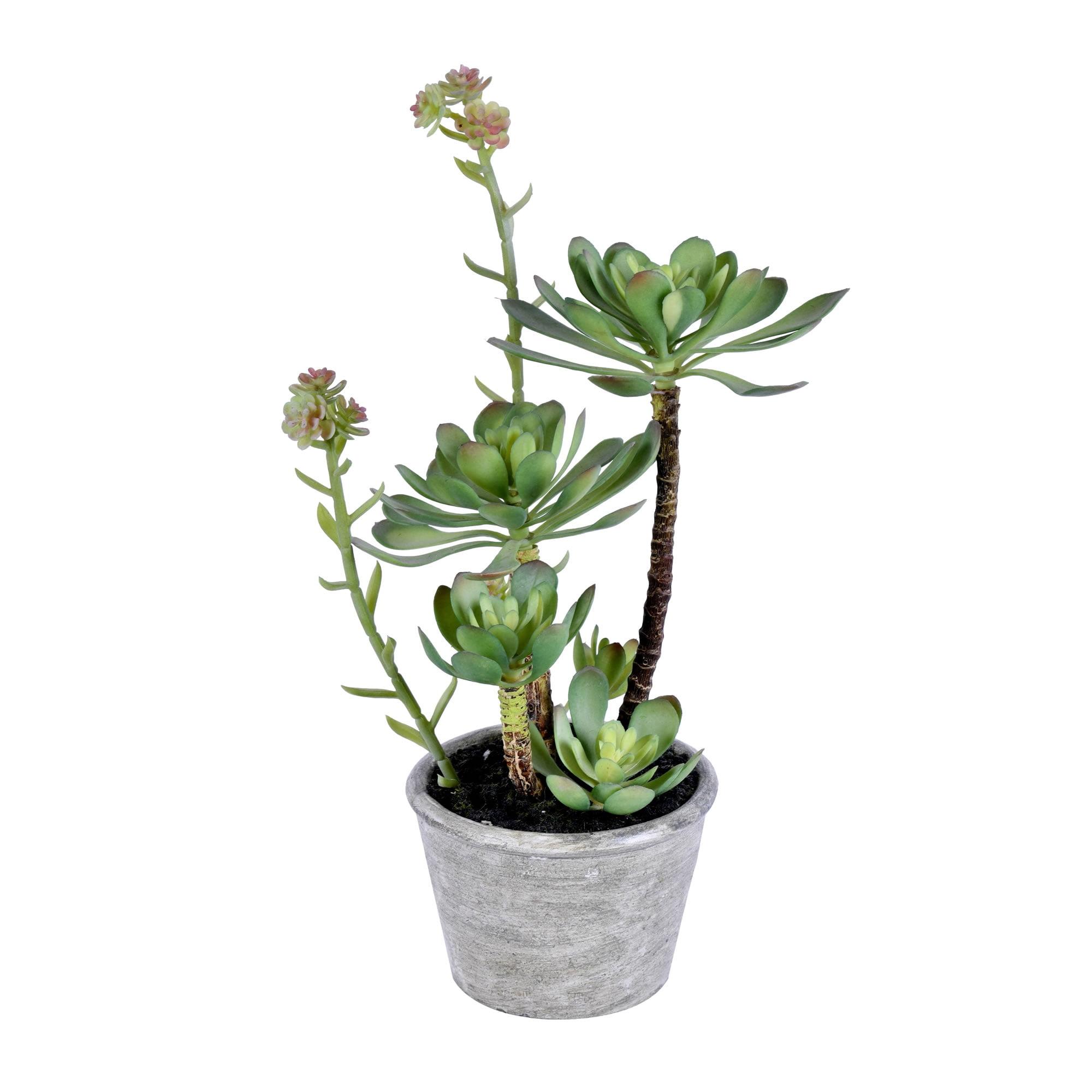 Festive 15" Outdoor Potted Plastic Succulent Centerpiece