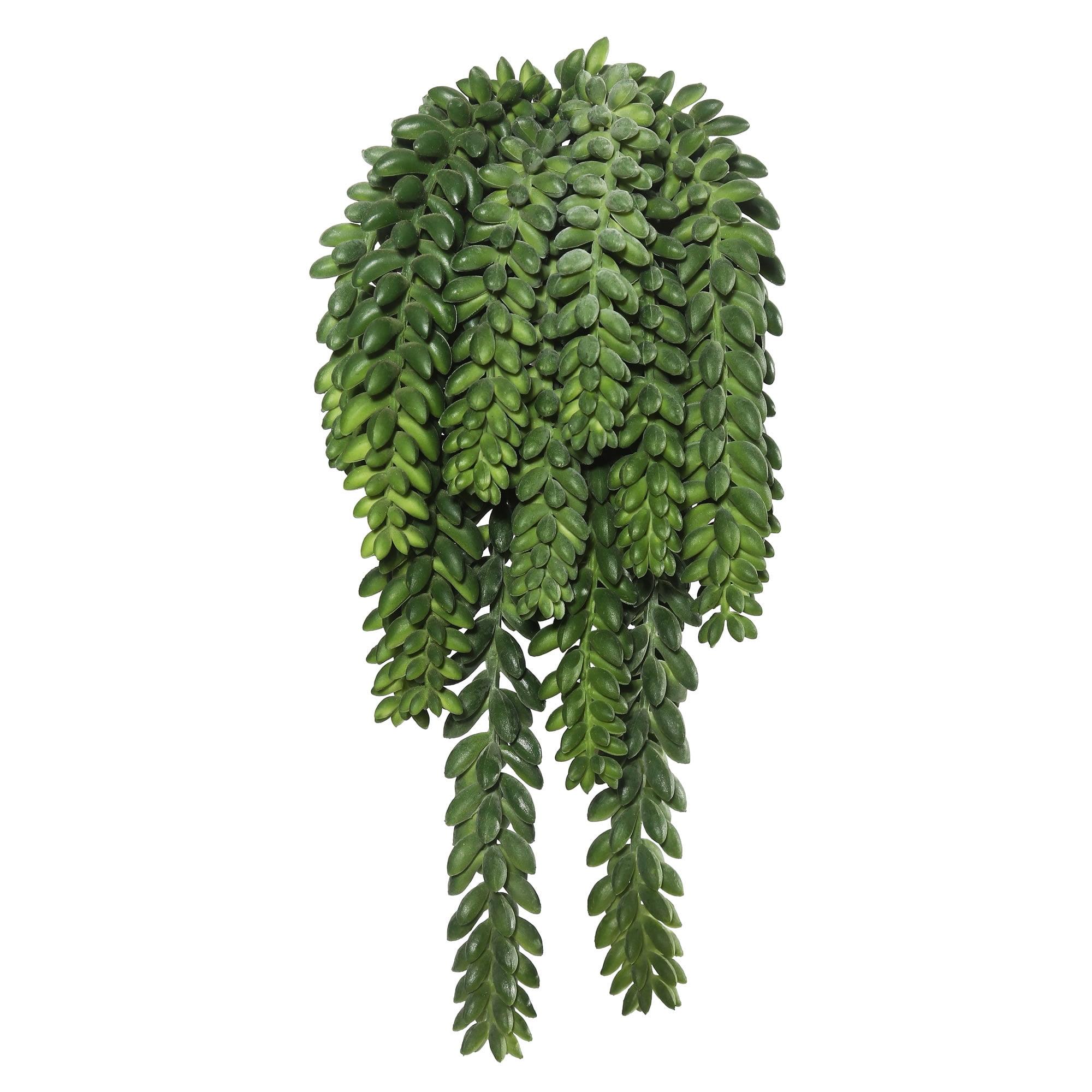 13'' Green Plastic Artificial Donkey Tail Bush