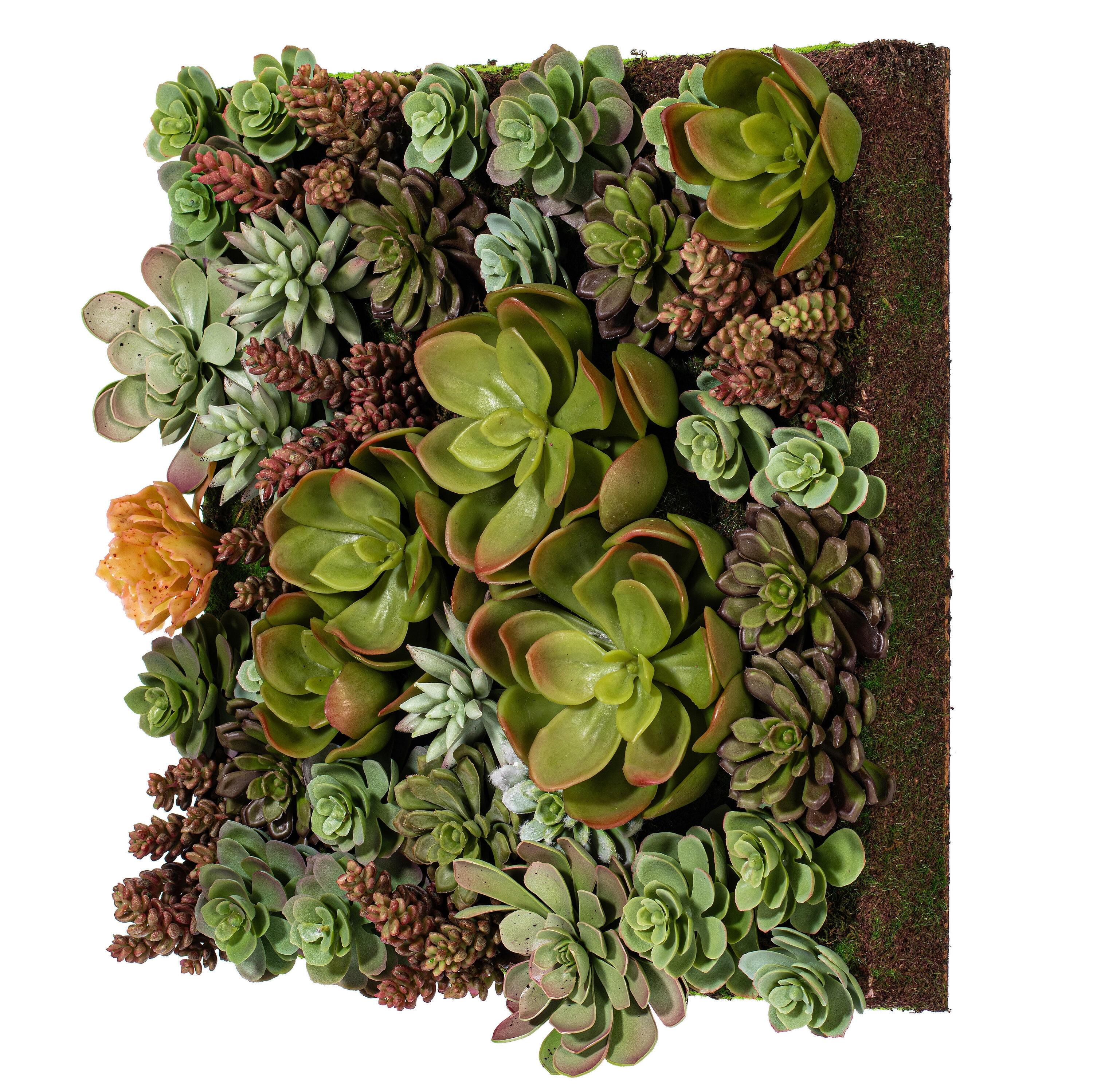 Vibrant 17" Multicolor Plastic Succulent Wall Arrangement