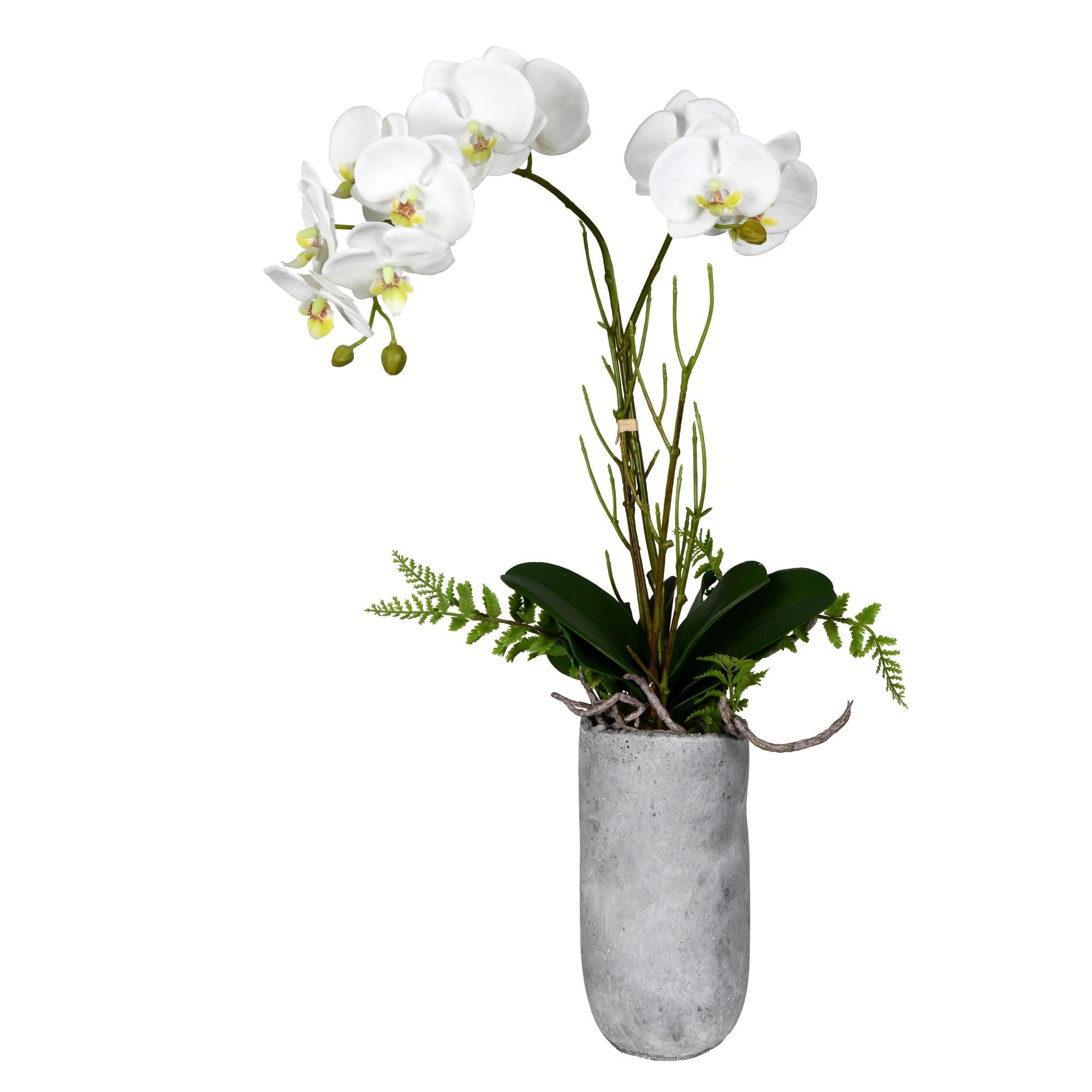 17'' White Orchid in Clear Glass Pot