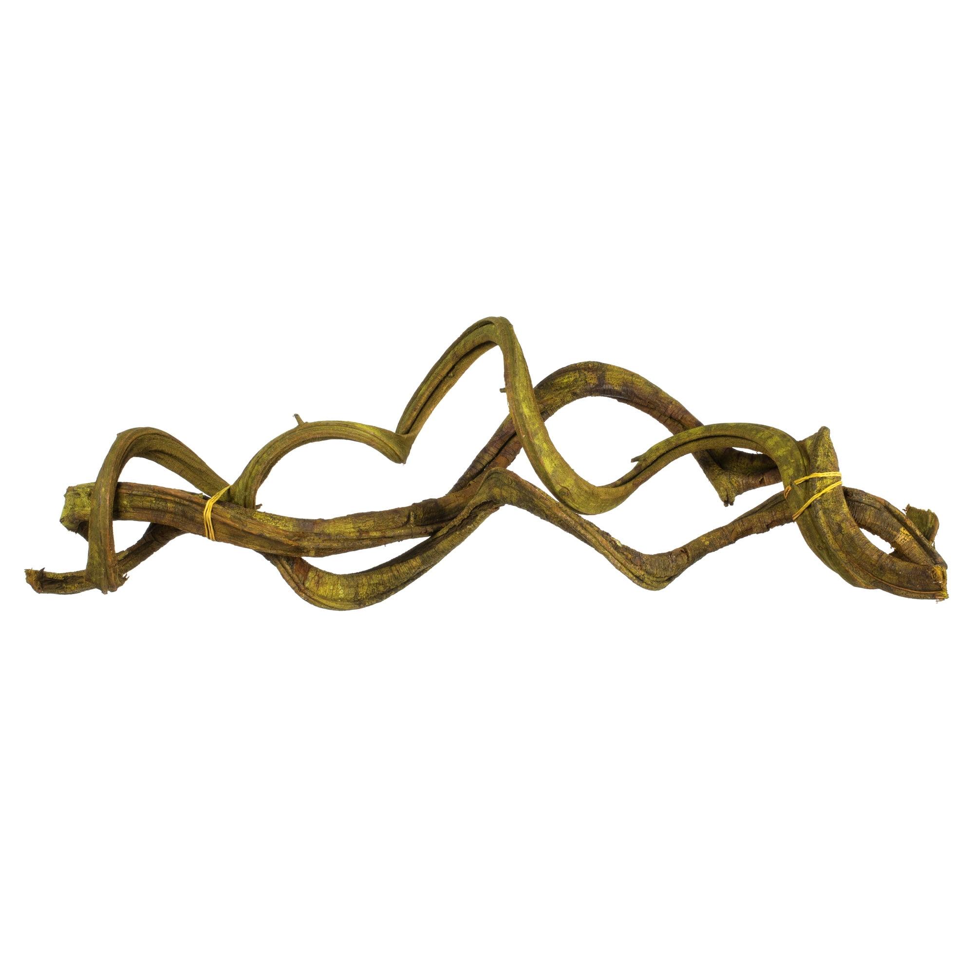 Vickerman 18-22" Basil Twisted Vine Bundle, 3 pack