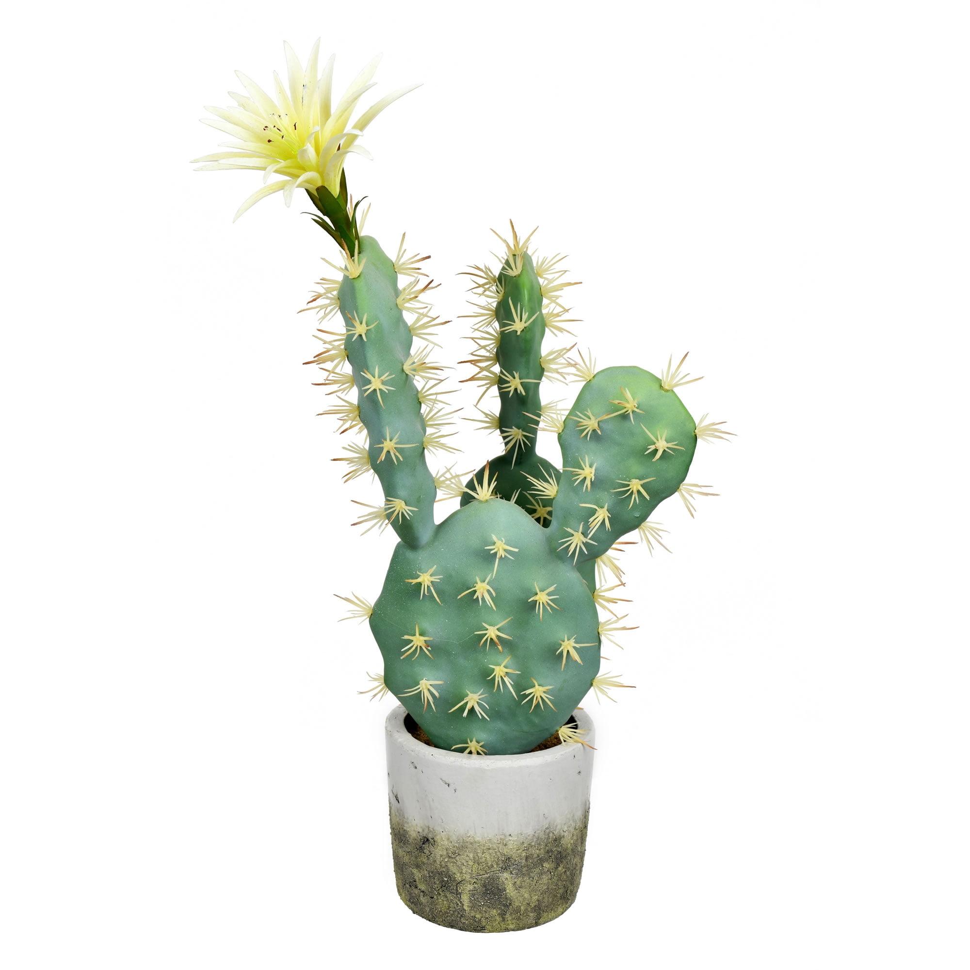 18" Green Faux Cactus in Weathered Cement Pot