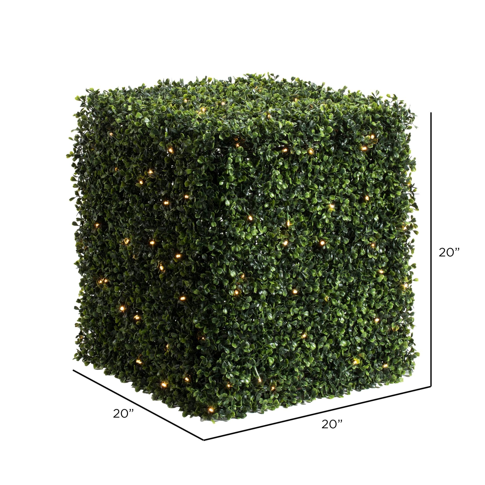 Vickerman 20" Artificial Boxwood Cube with 100 Warm White LED Lghts.