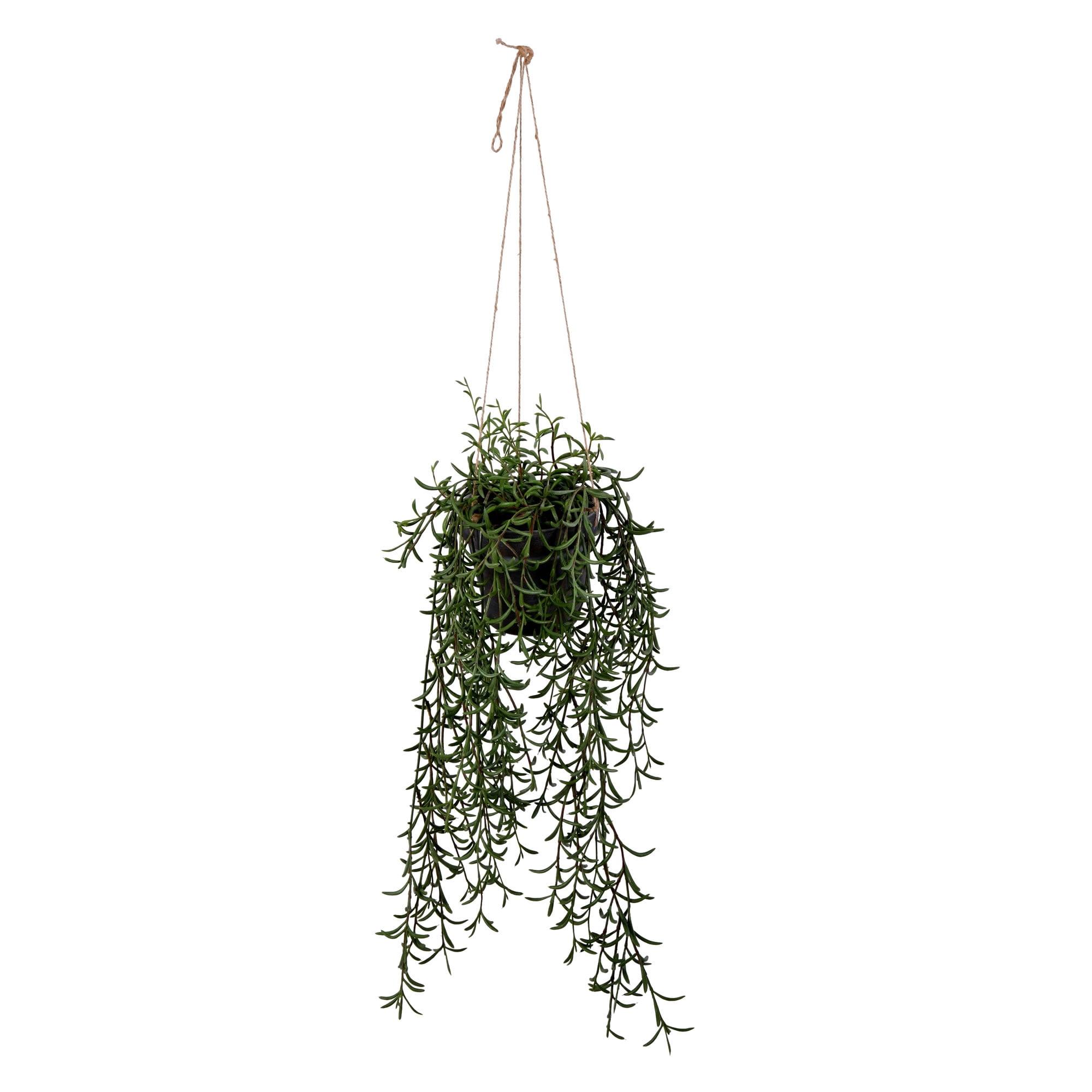 Vickerman 22" Artificial Green Plastic Grass, Hanging Pot.