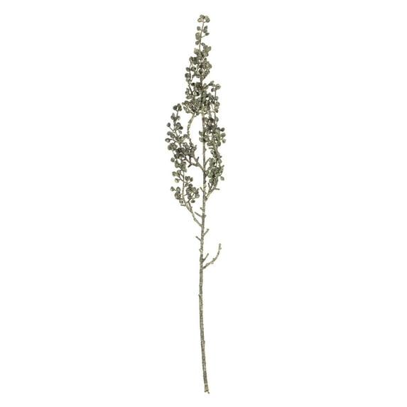 Primrue Senecio Arrangement (Set of 6)