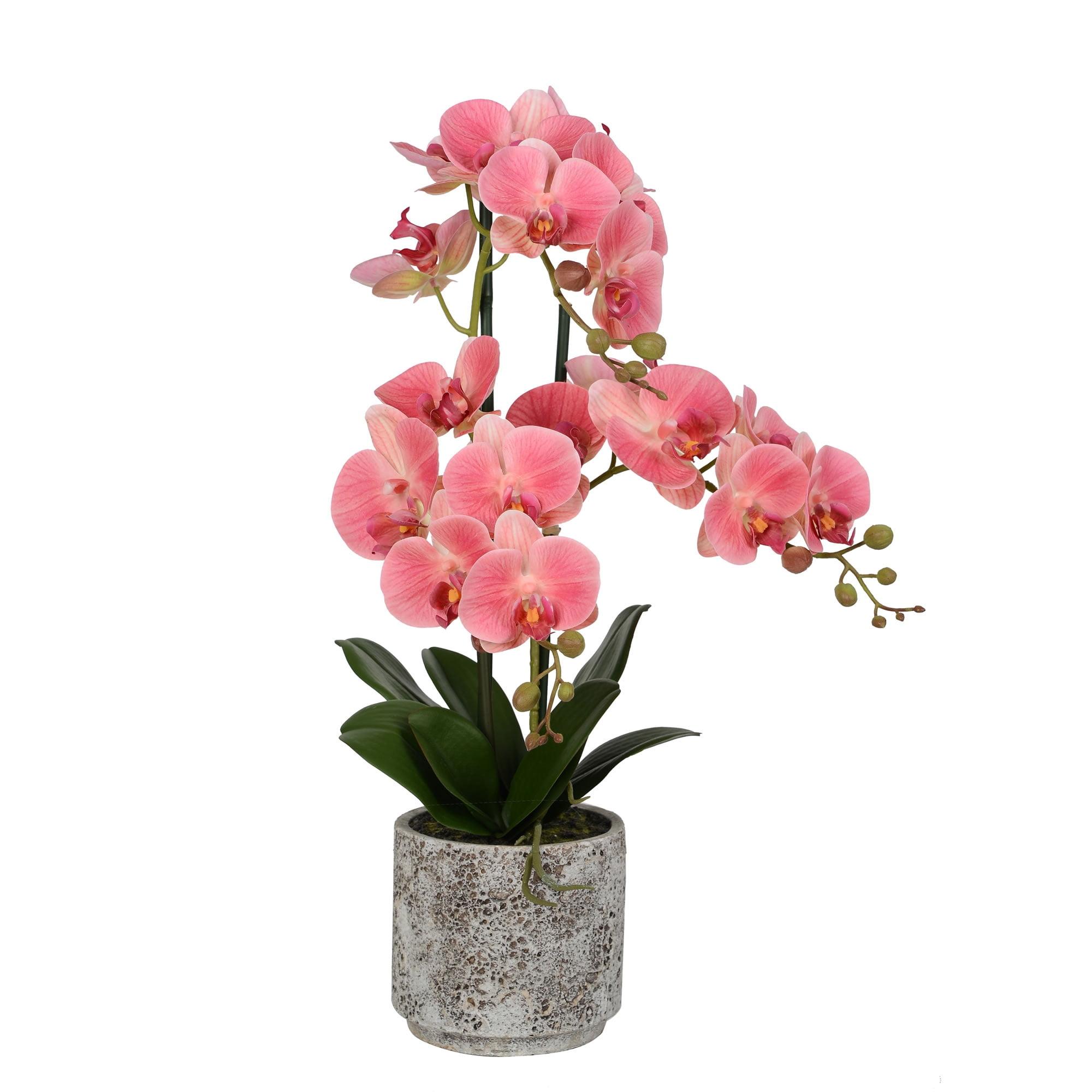 Vickerman 24" Artificial Pink Phalaenopsis In Cement Pot.