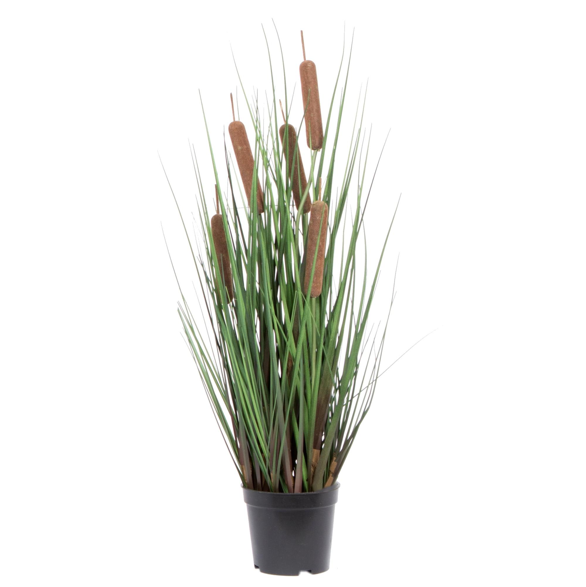 Artificial Potted Green Straight Grass and Cattails.