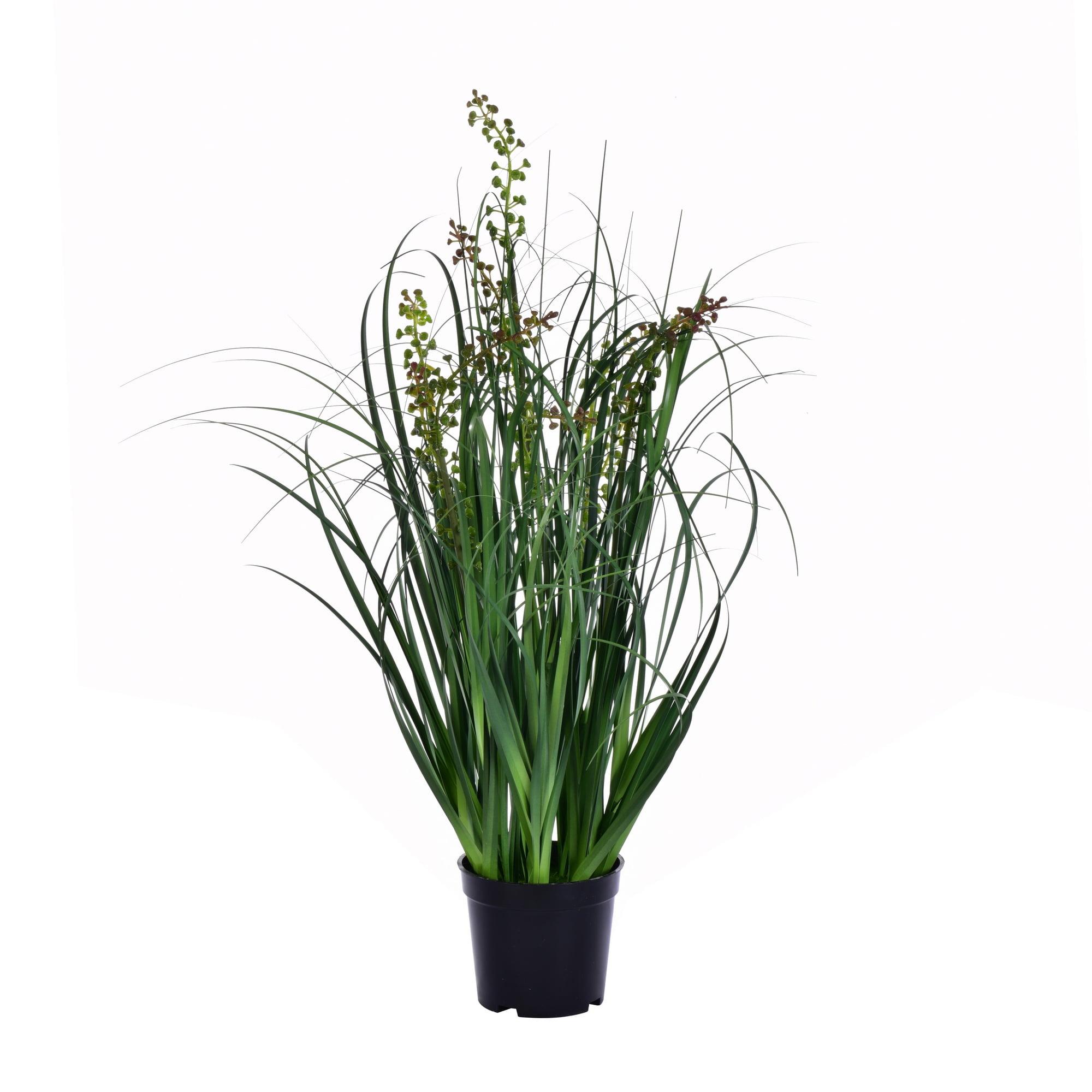 Sleek Summer 24" Artificial Sheep's Grass in Modern Black Pot