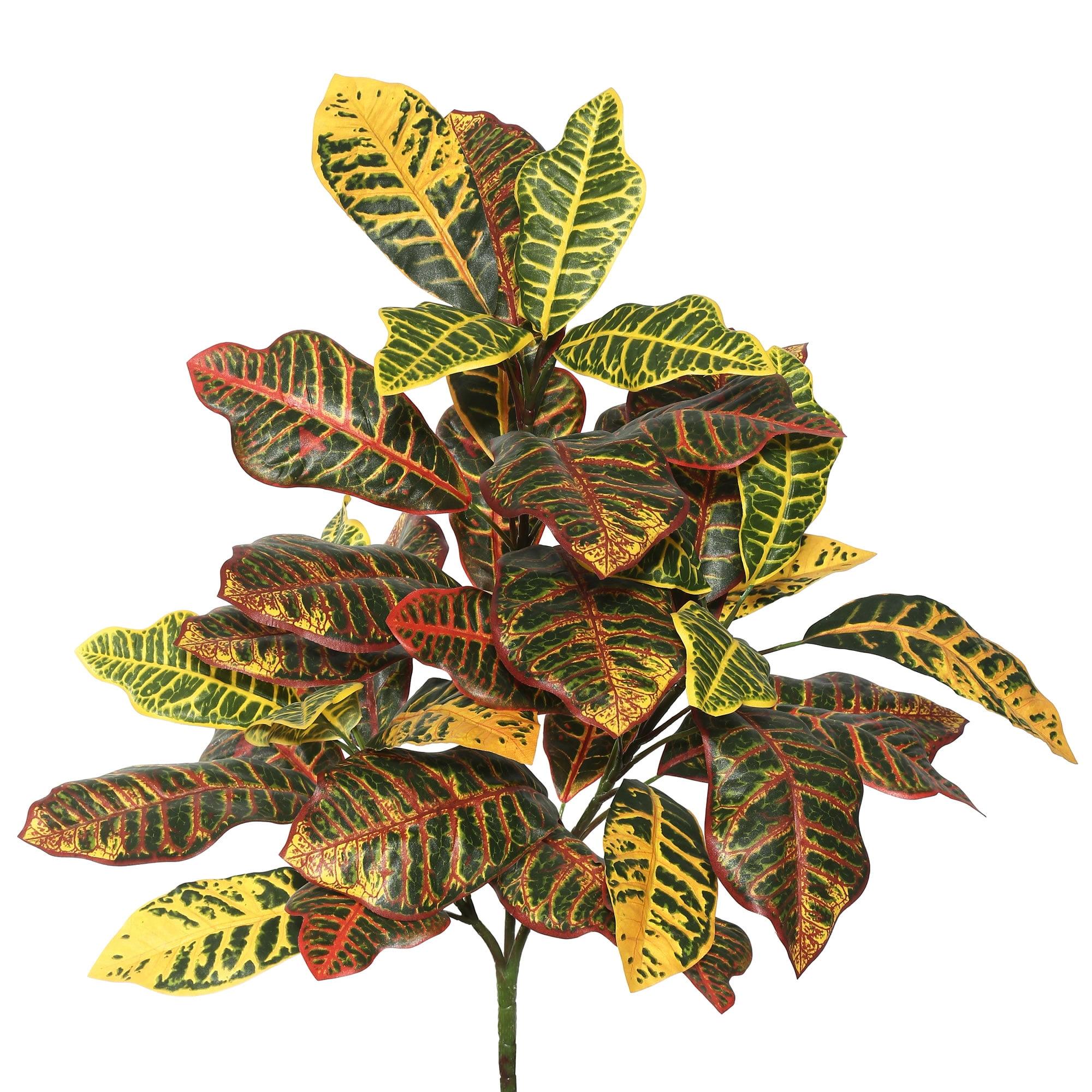 34 in. Cronton Plant Leaves - Green