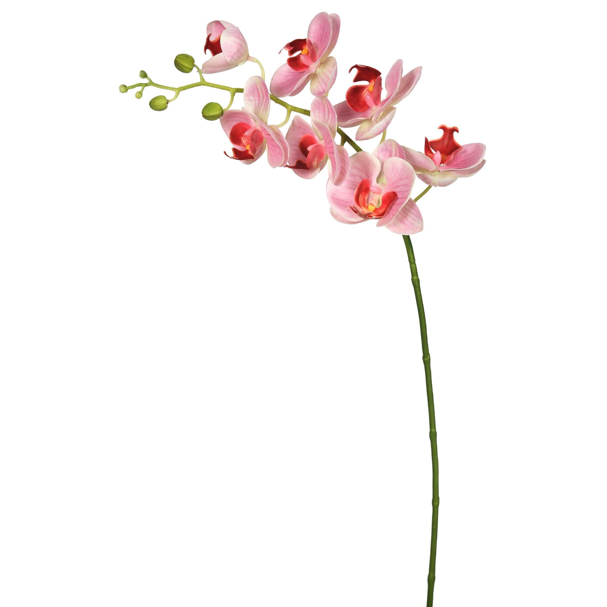 Vickerman 35" Pink Real Touch Orchid Artificial Floral Stem