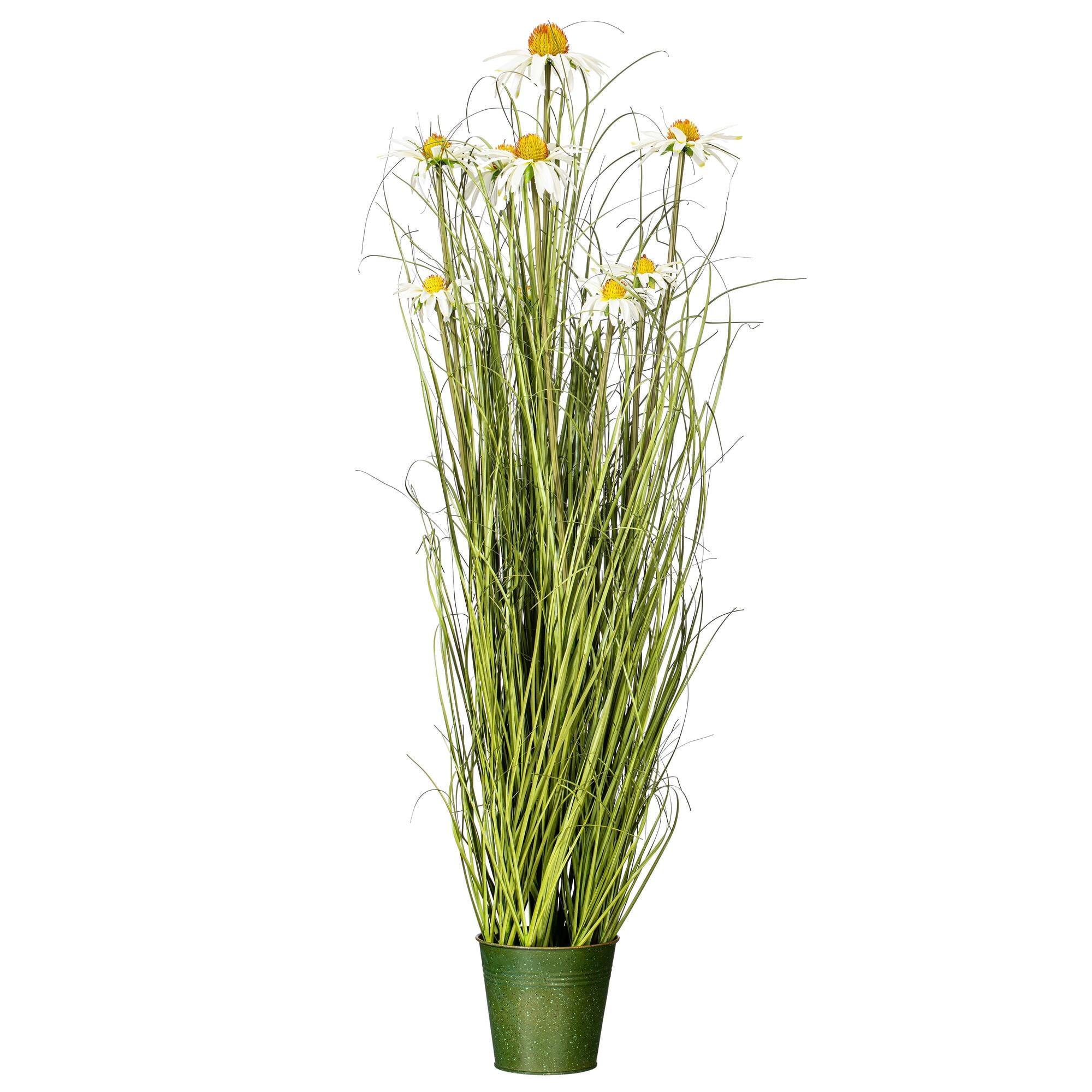 Elegant 37" Daisy and Green Grass Potted Arrangement for Indoor Decor