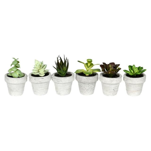 Vickerman 4" Artificial Assorted Potted Succulents, Set of 6. In a 2"Lx2"Wx2"H base.