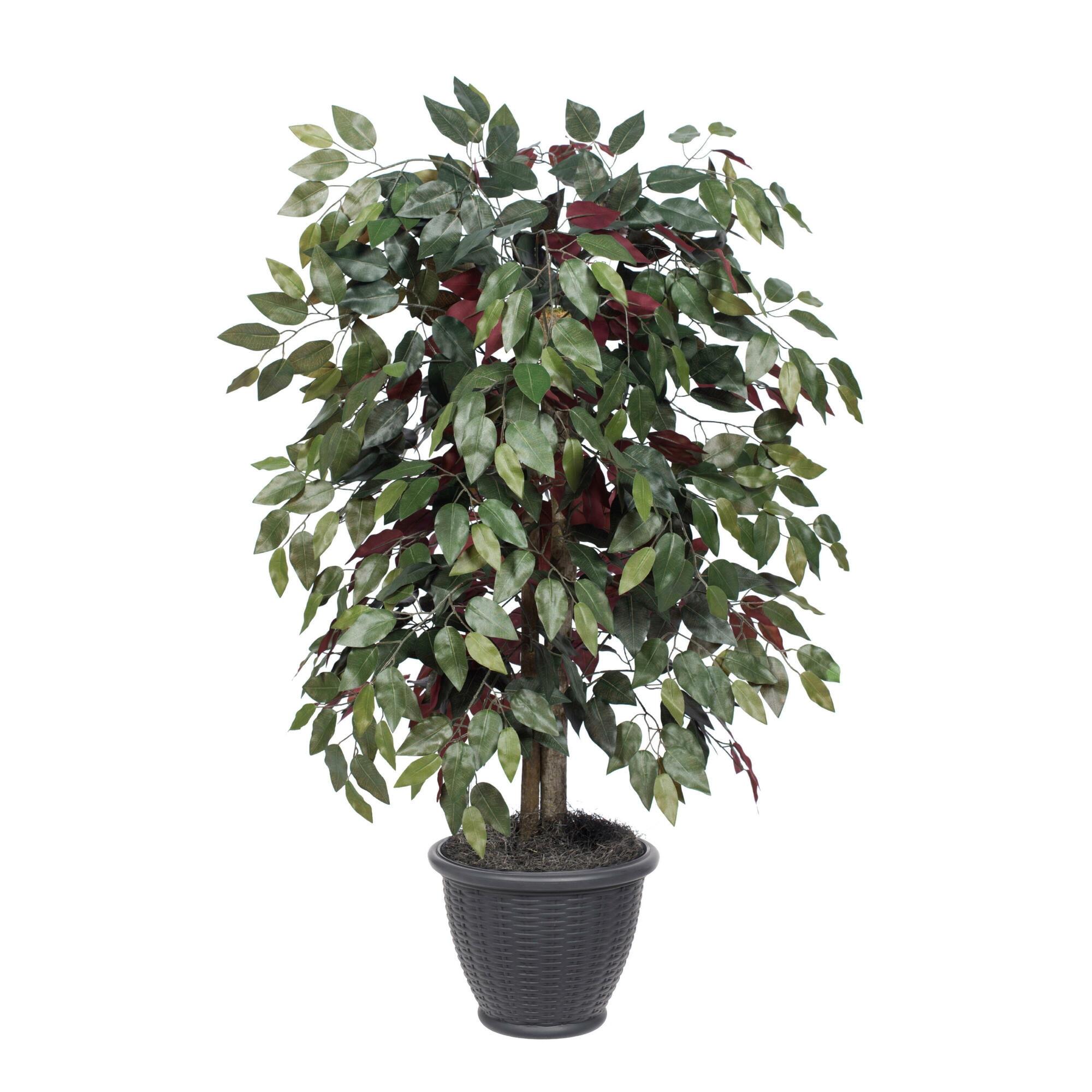 Vickerman 4' Artificial Capensia Bush, Gray Round Plastic Container. In a 12"Lx12"Wx9"H base.