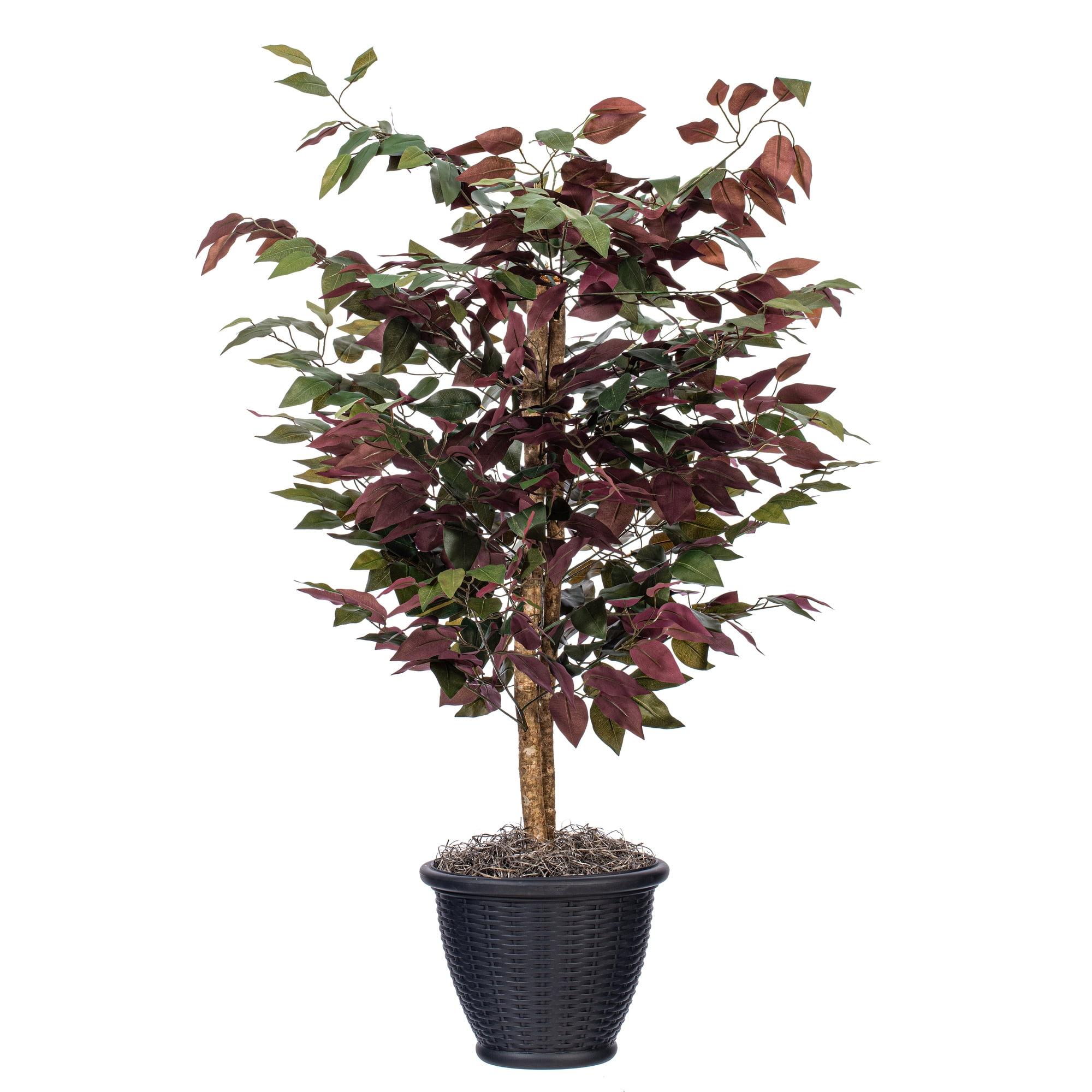 Vickerman 4' Artificial Capensia Bush, Gray Round Plastic Container. In a 12"Lx12"Wx9"H base.