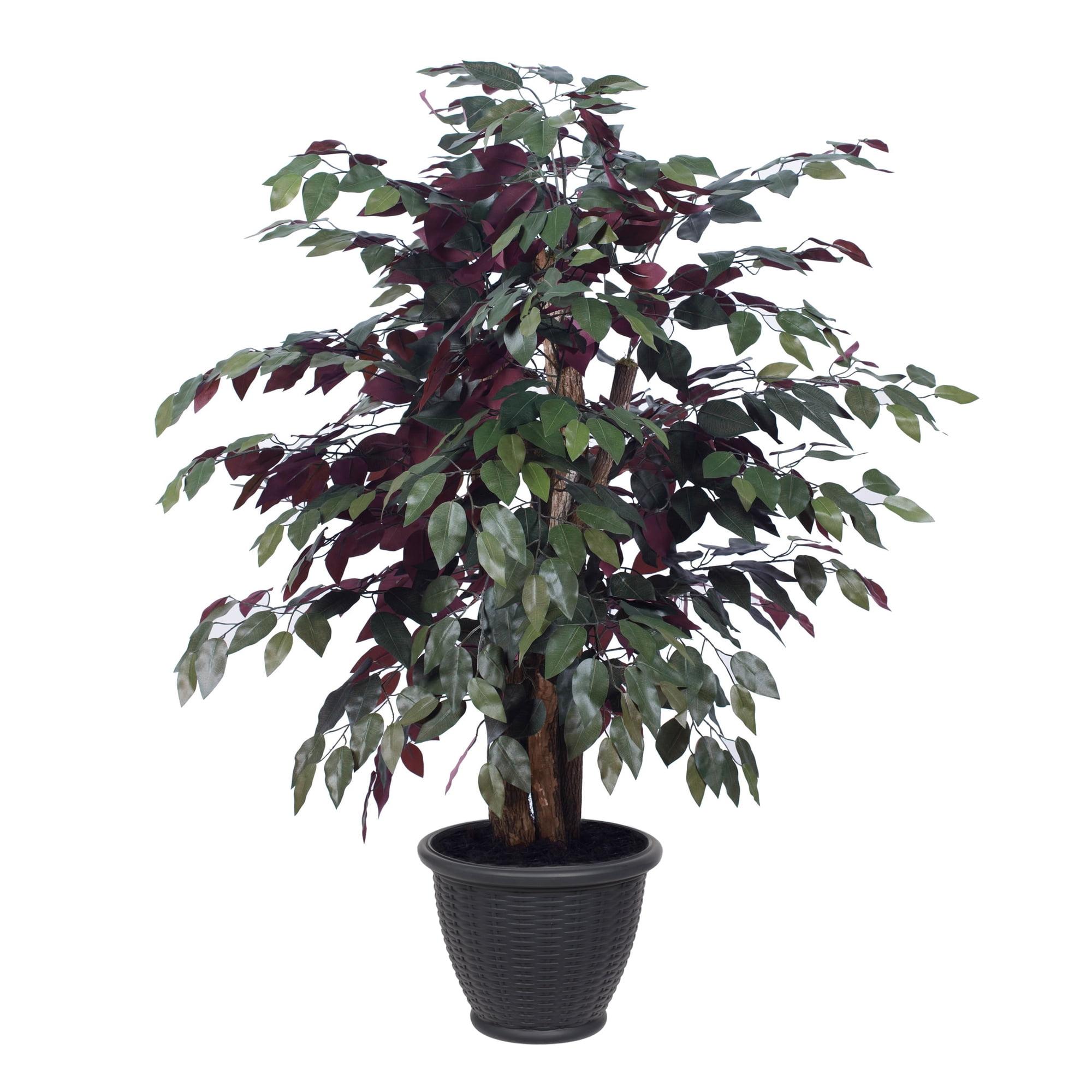 Elegant 4' Silk Capensia Tree in Gray Plastic Pot