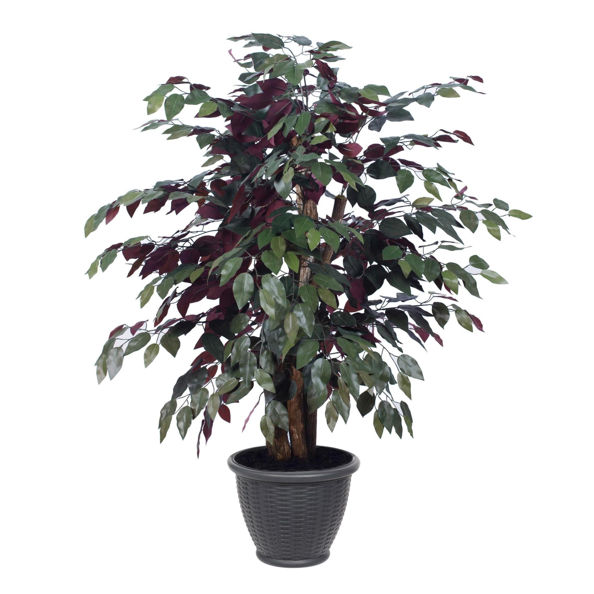 Vickerman Artificial Capensia Executive Potted Tree