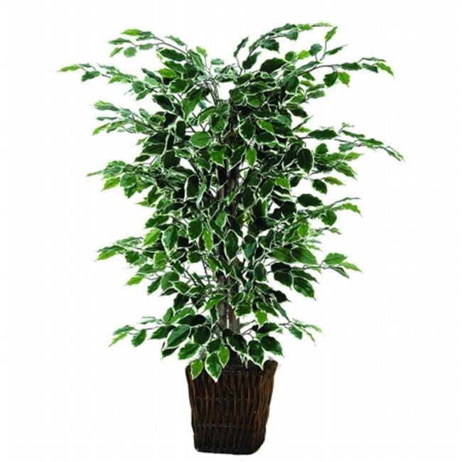 Vickerman 4' Artificial Variegated Ficus Bush, Rattan Basket In a 9"Lx9"Wx9.5"H base.