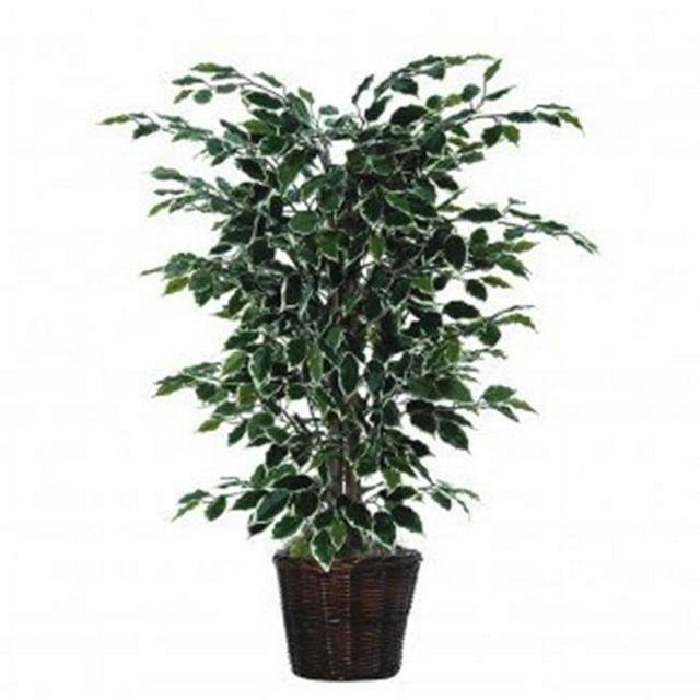 Vickerman 4' Artificial Variegated Ficus Bush, Rattan Basket In a 9"Lx9"Wx9.5"H base.