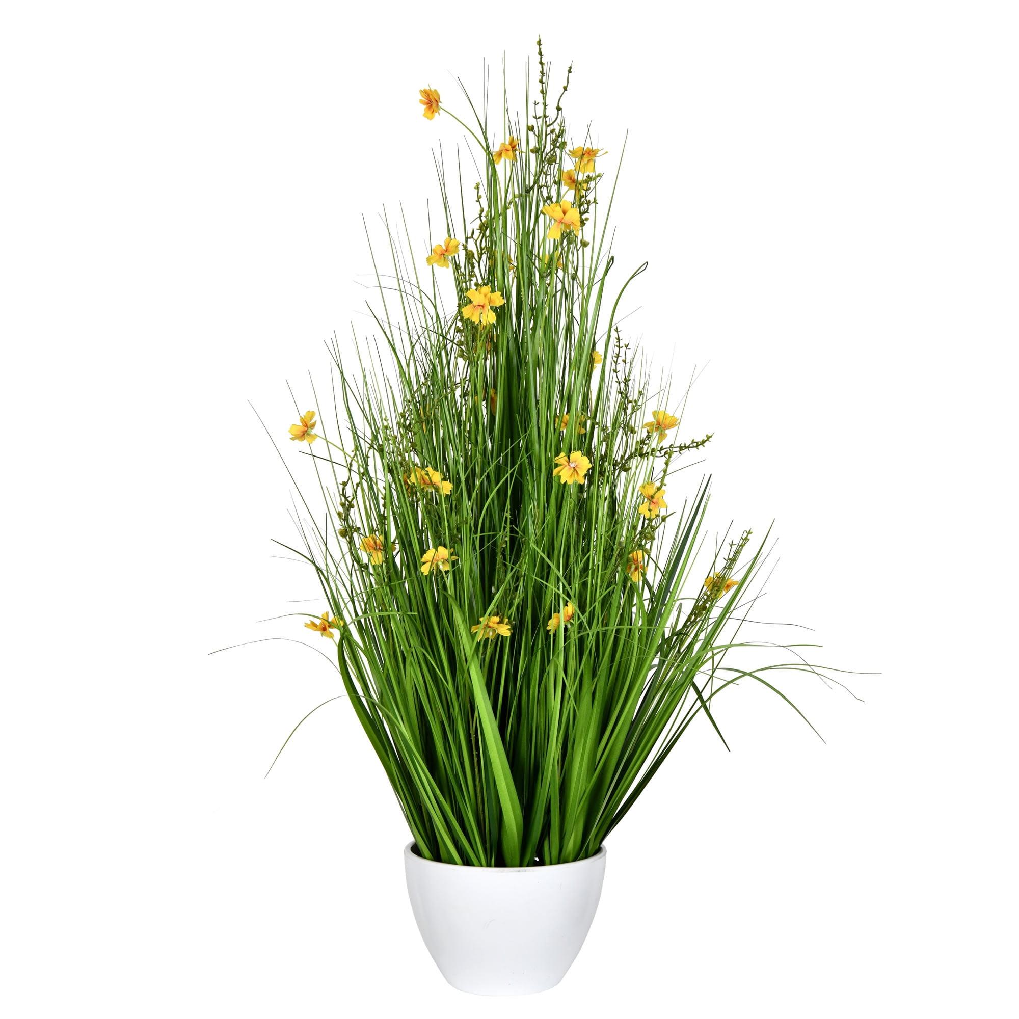 Elegant 42" Yellow Cosmos & Green Grass Outdoor Arrangement in Classic White Pot