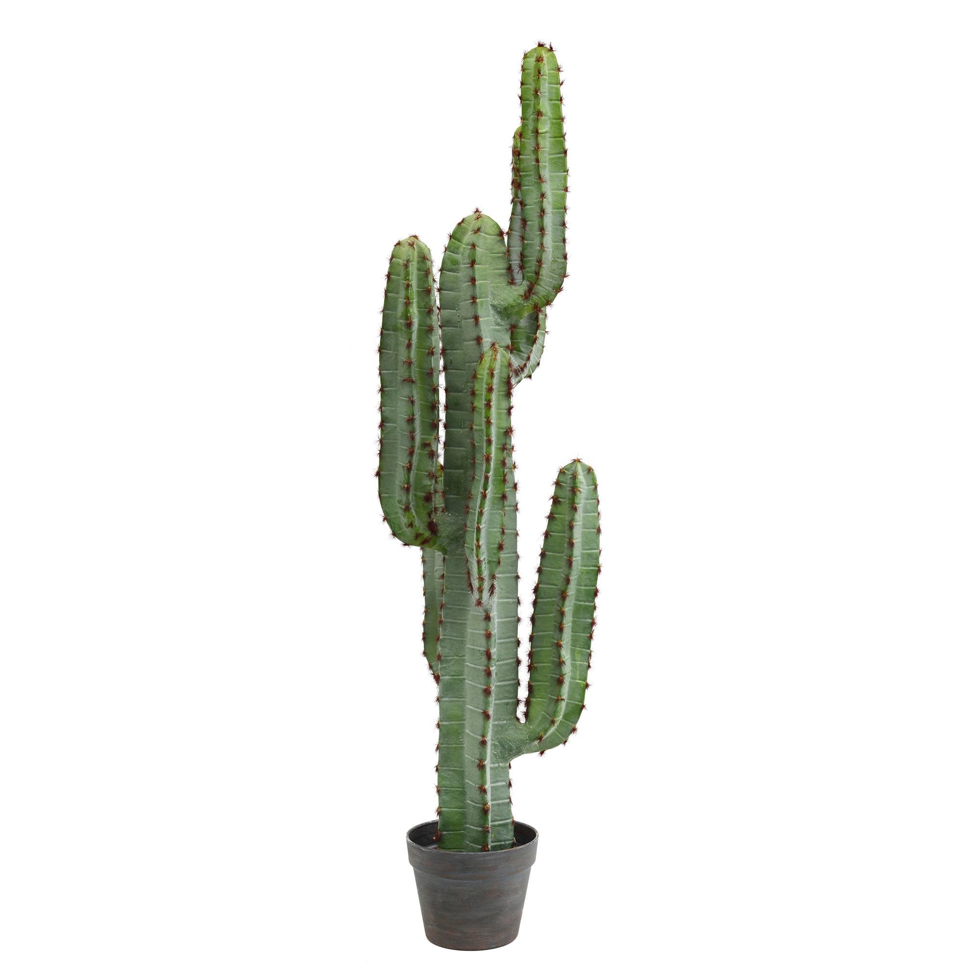 Williston Forge 45" Artificial Green Finger Cactus in 8" Black Pot