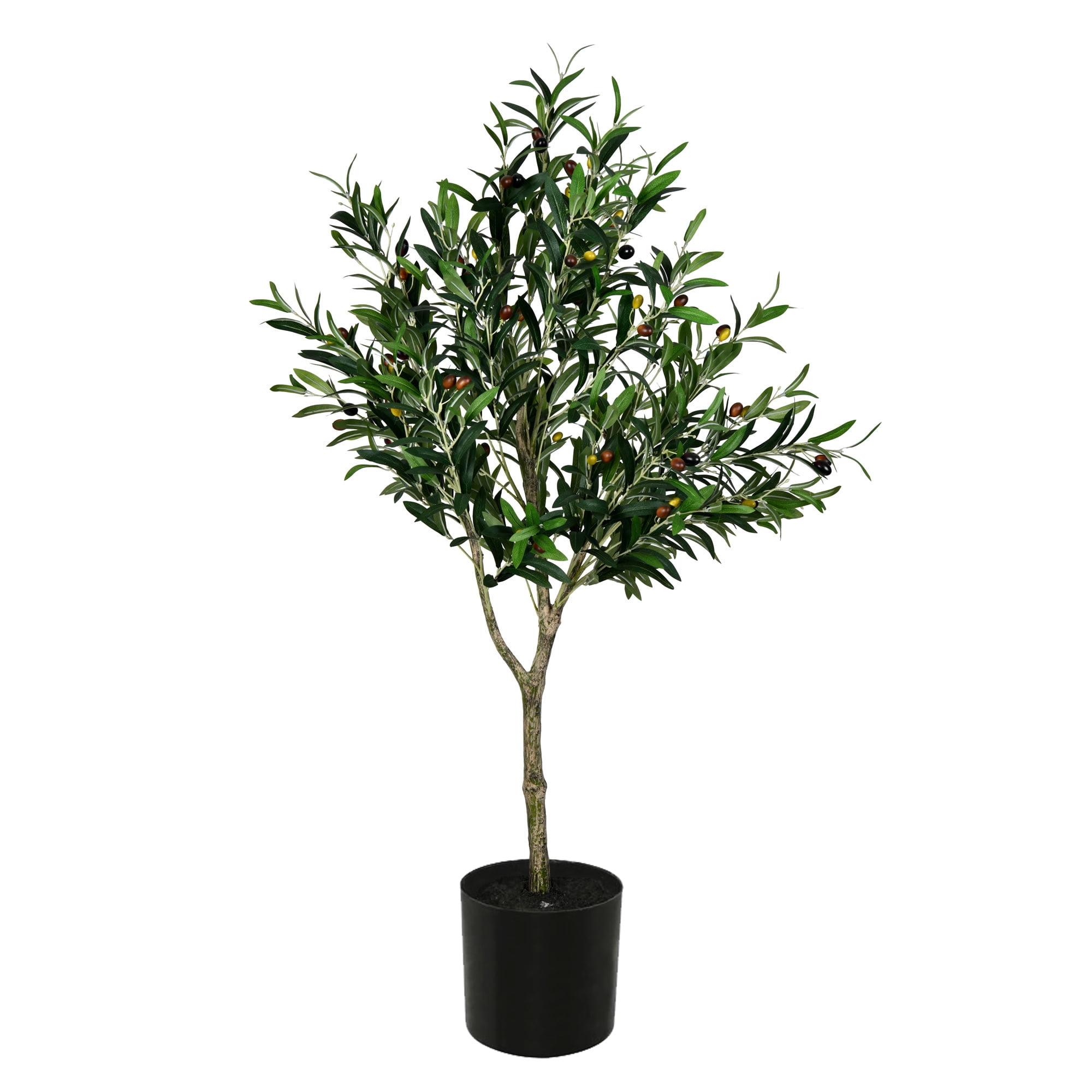 Vickerman Artificial Green Olive Tree in Black Planters Pot.