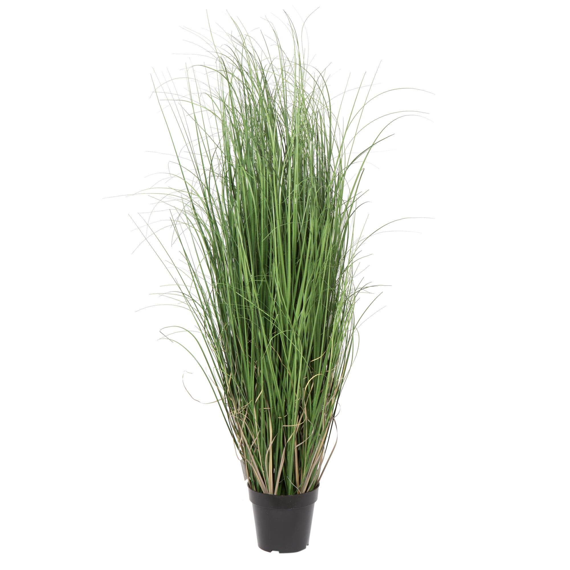 Vickerman 48" Artificial Potted Green Curled Grass. In a 6"Lx6"Wx5"H base.