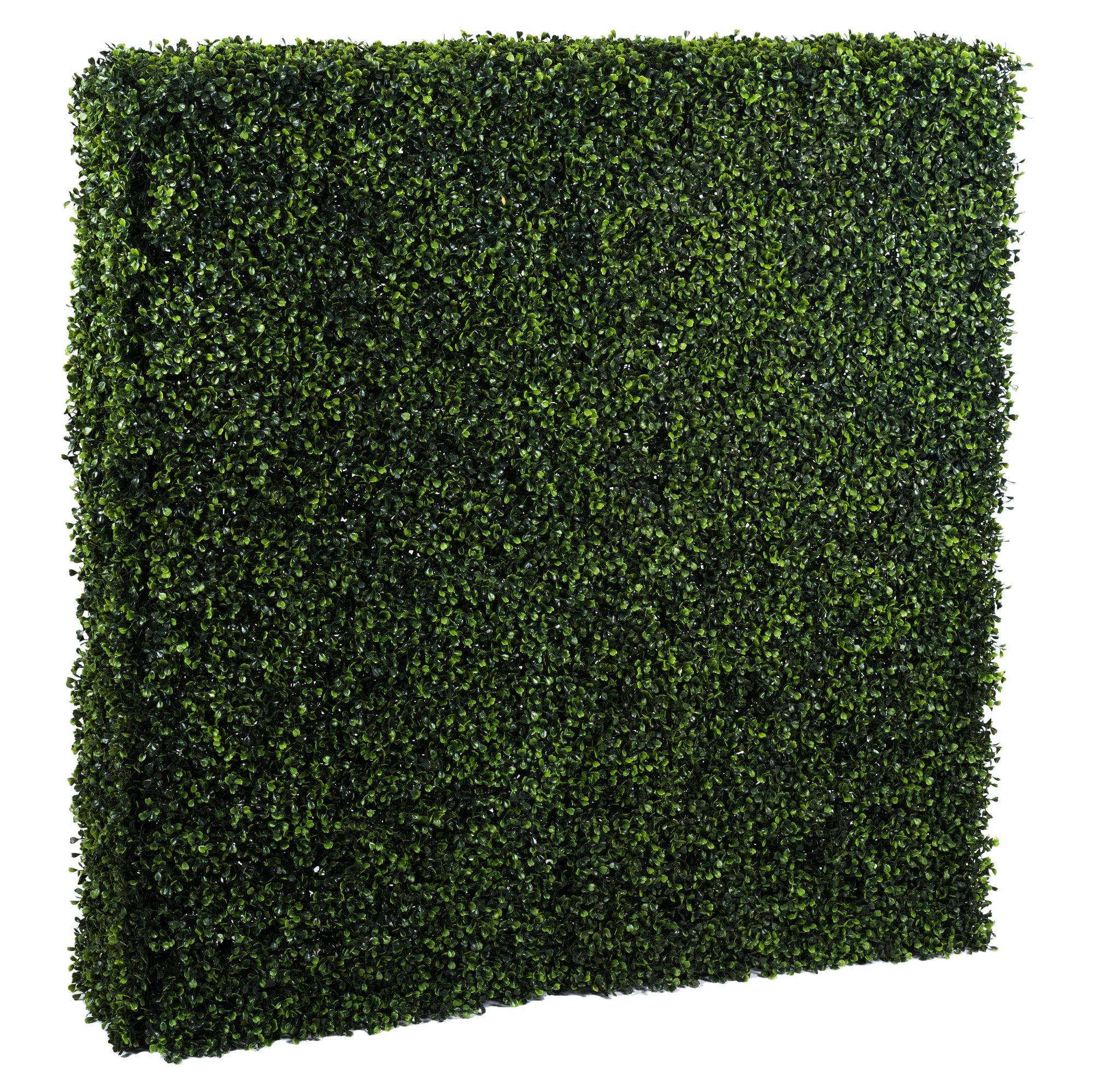 Boxwood Wall Panel Arrangement