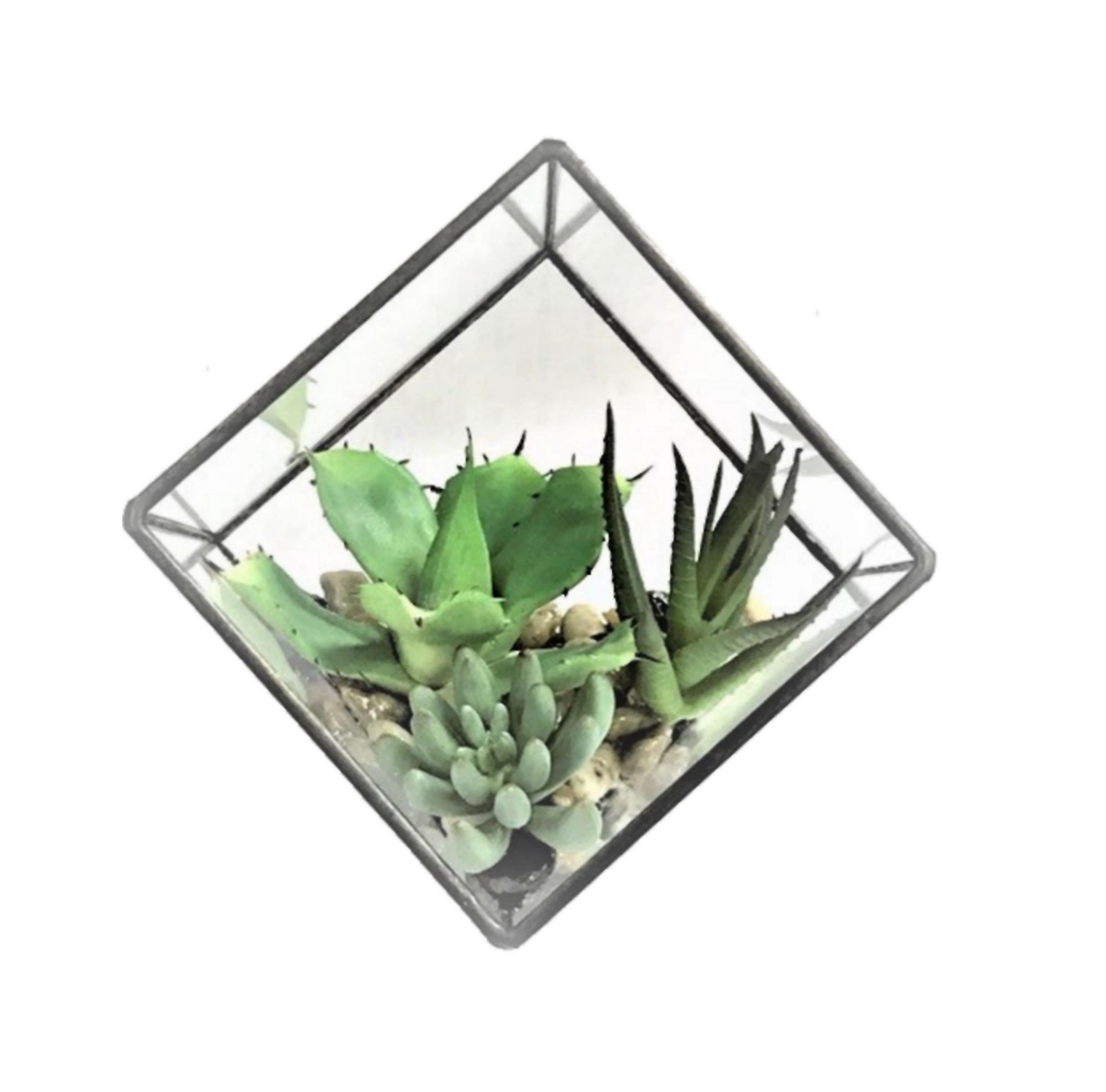 5.5" Green Agave & Aloe Succulent Glass Terrarium