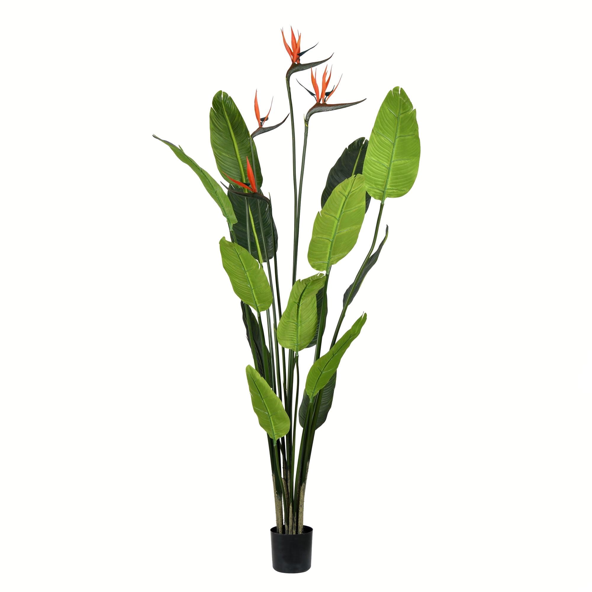 Tiny Green Plastic Bird of Paradise Floor Plant