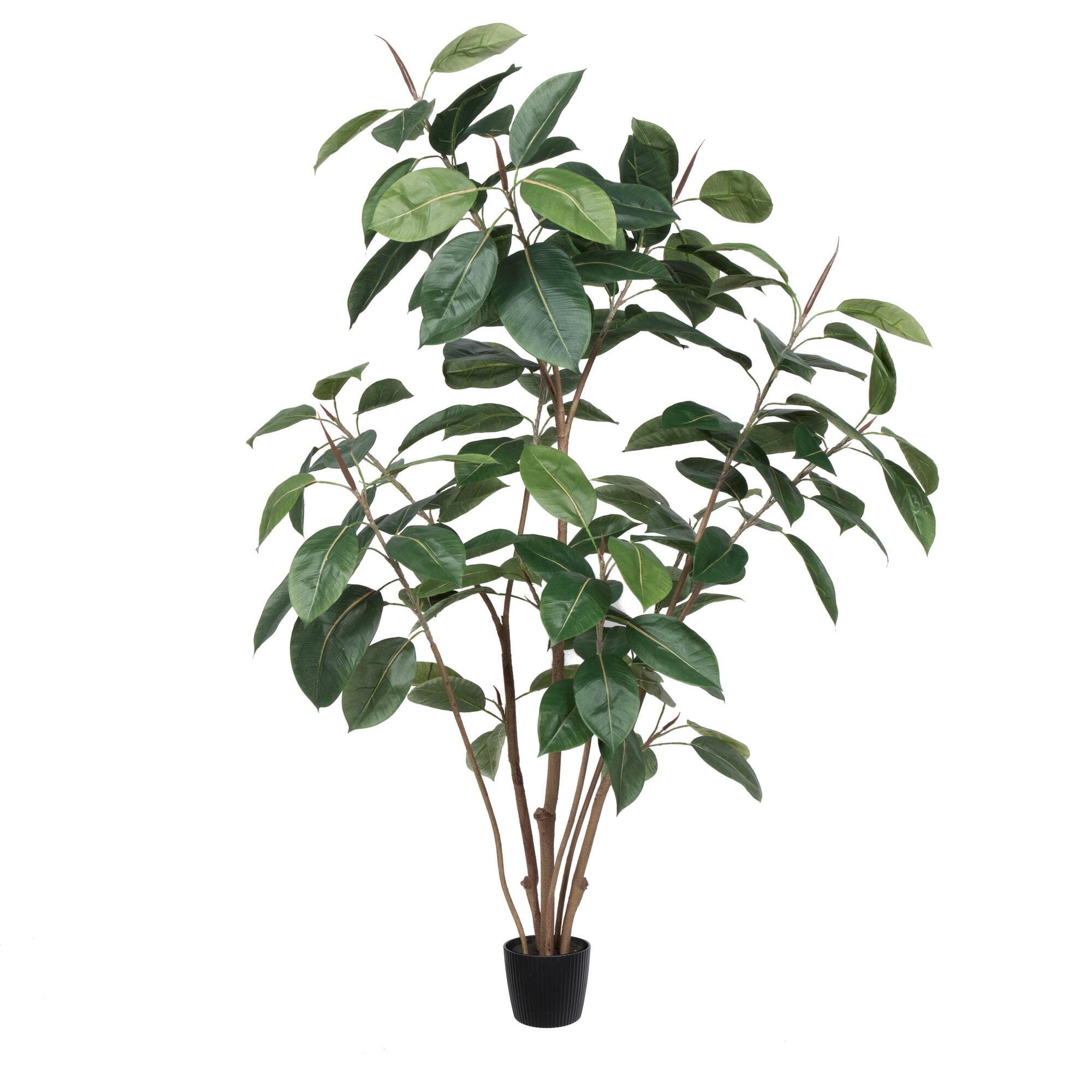 Lush Green 5' Potted Rubber Tree with Realistic Leaves