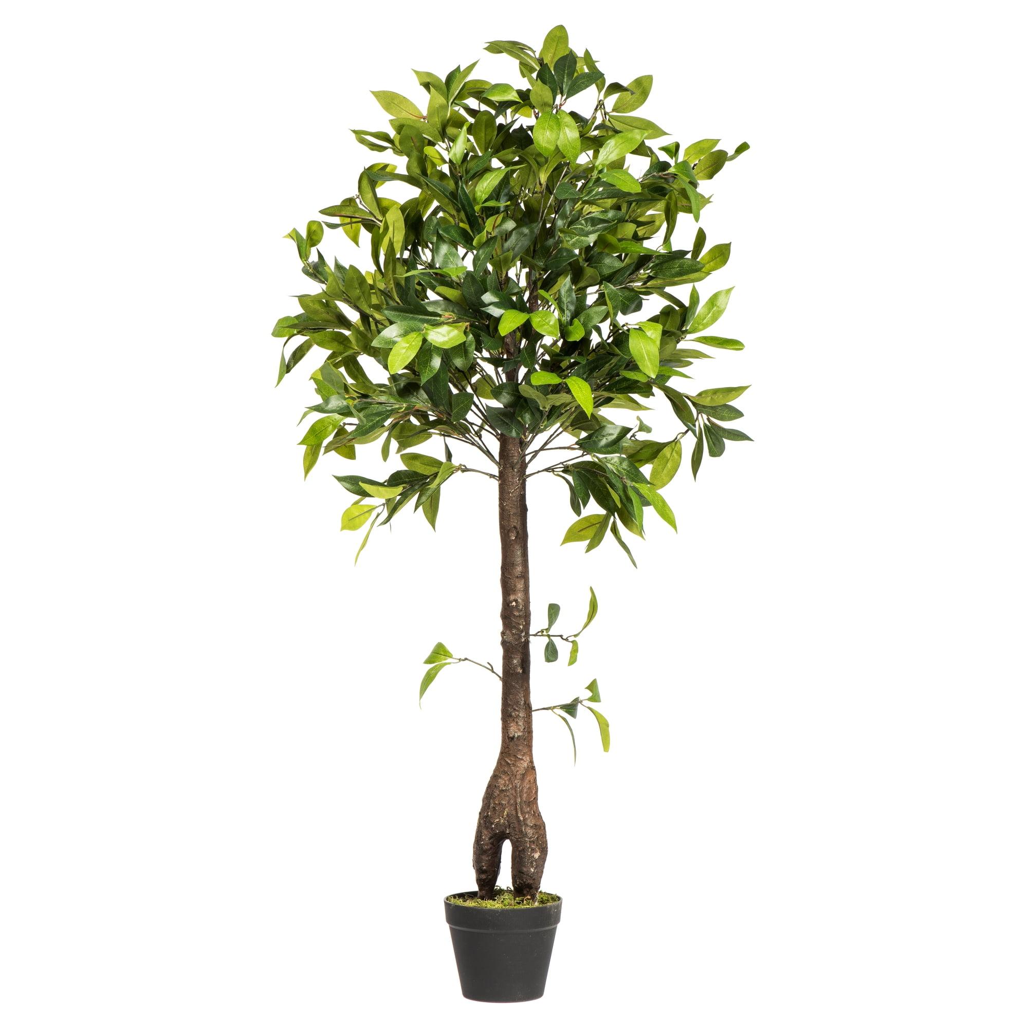 Vickerman Artificial Camellia Tree in Pot 50": Silk Polyester Foliage, Indoor Floor Decor, No Assembly Required