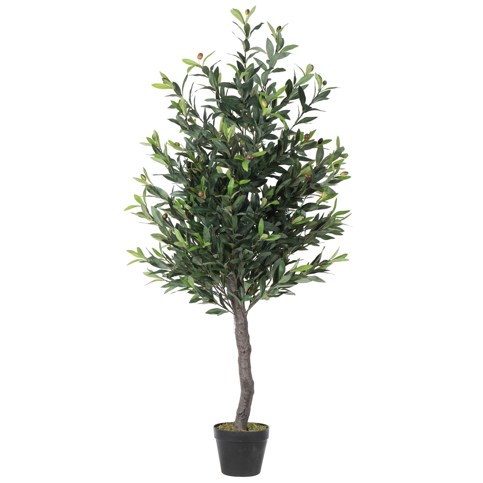 50-Inch Tall Faux Olive Tree in Black Planter