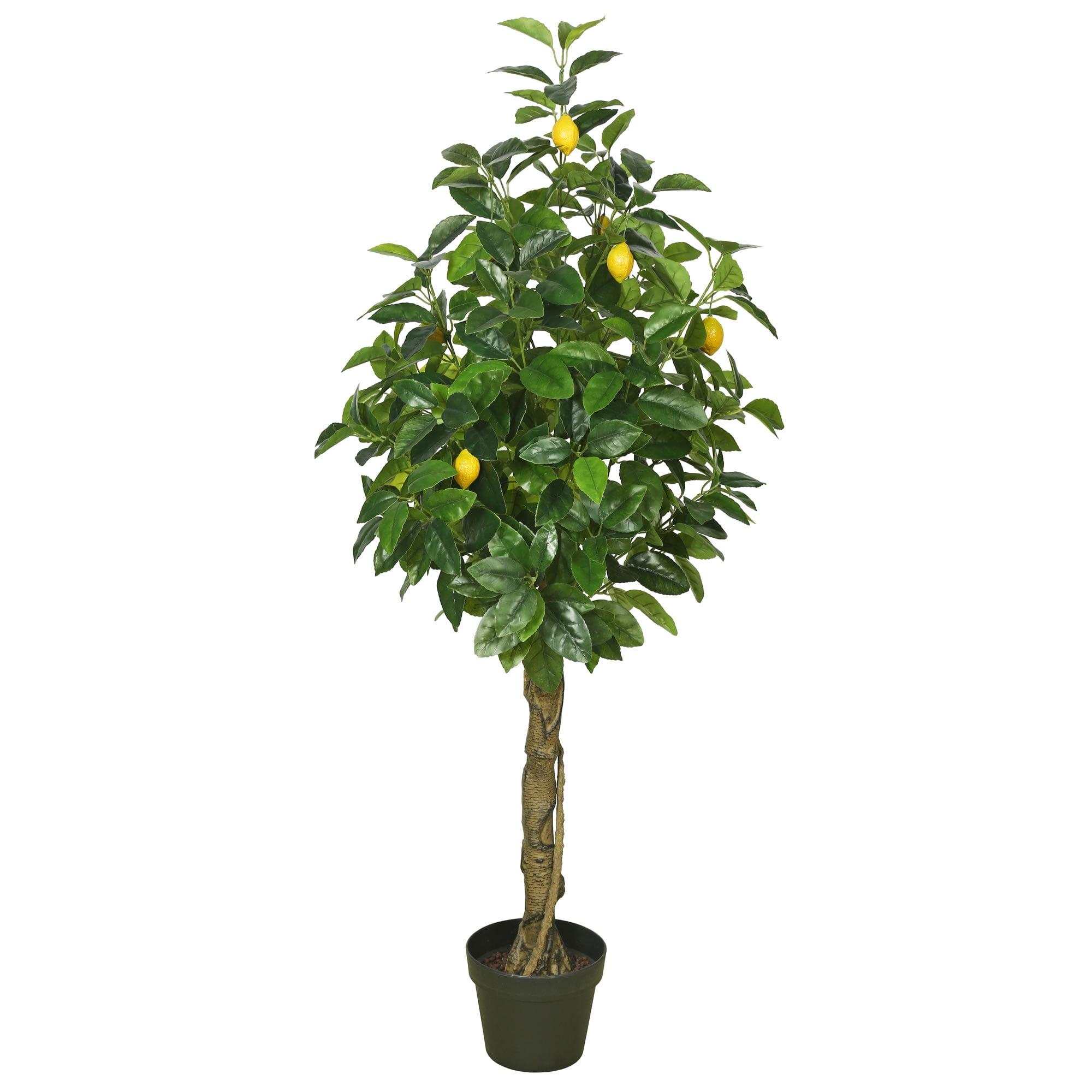 Lifelike Lemon Tree in Pot - 51" Real Touch Faux Plant