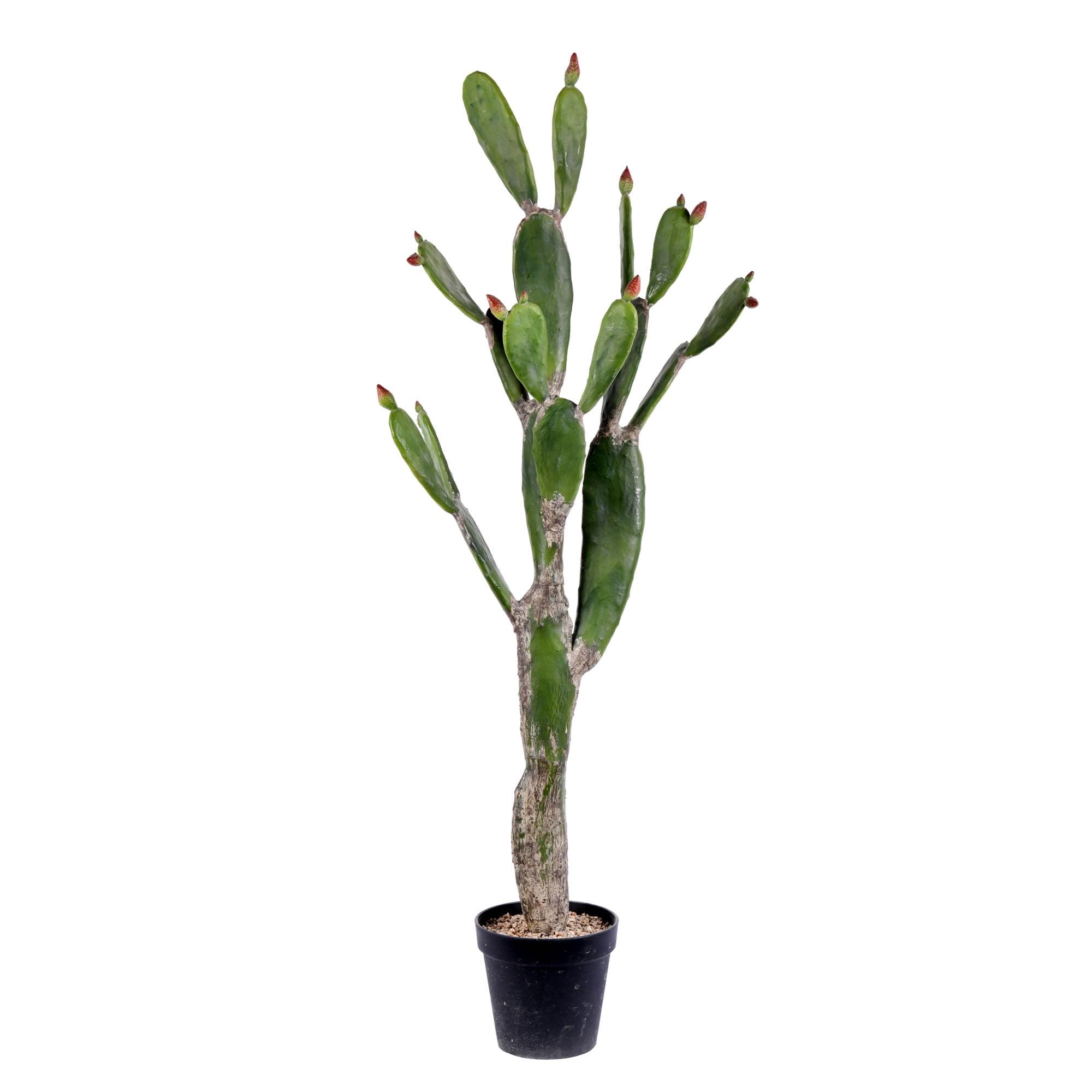 Vickerman 57" Artificial Green Cactus, Black Plastic Planters Pot.