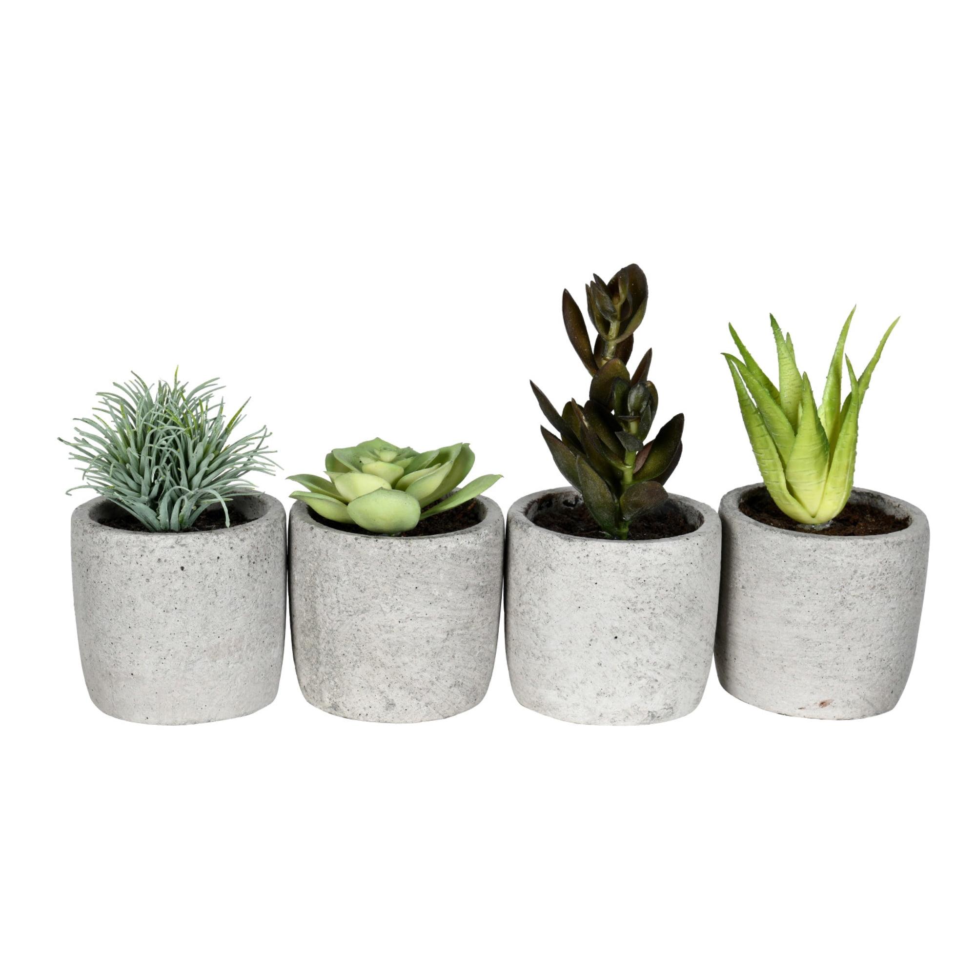 6'' Faux Succulent Plant in Ceramic Pot