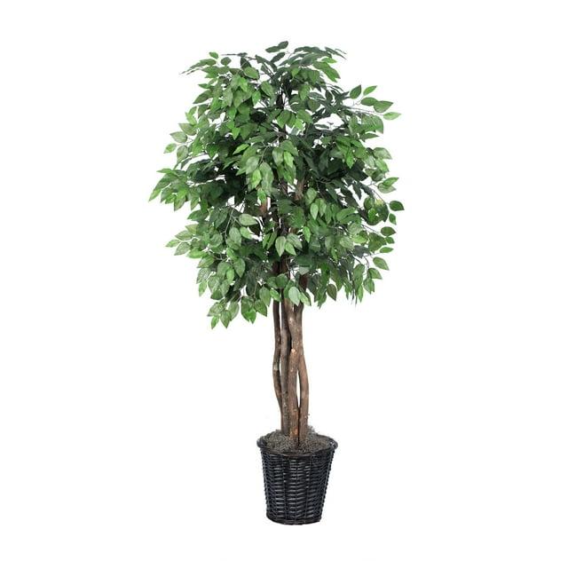 Vickerman  6 ft. Ficus Executive