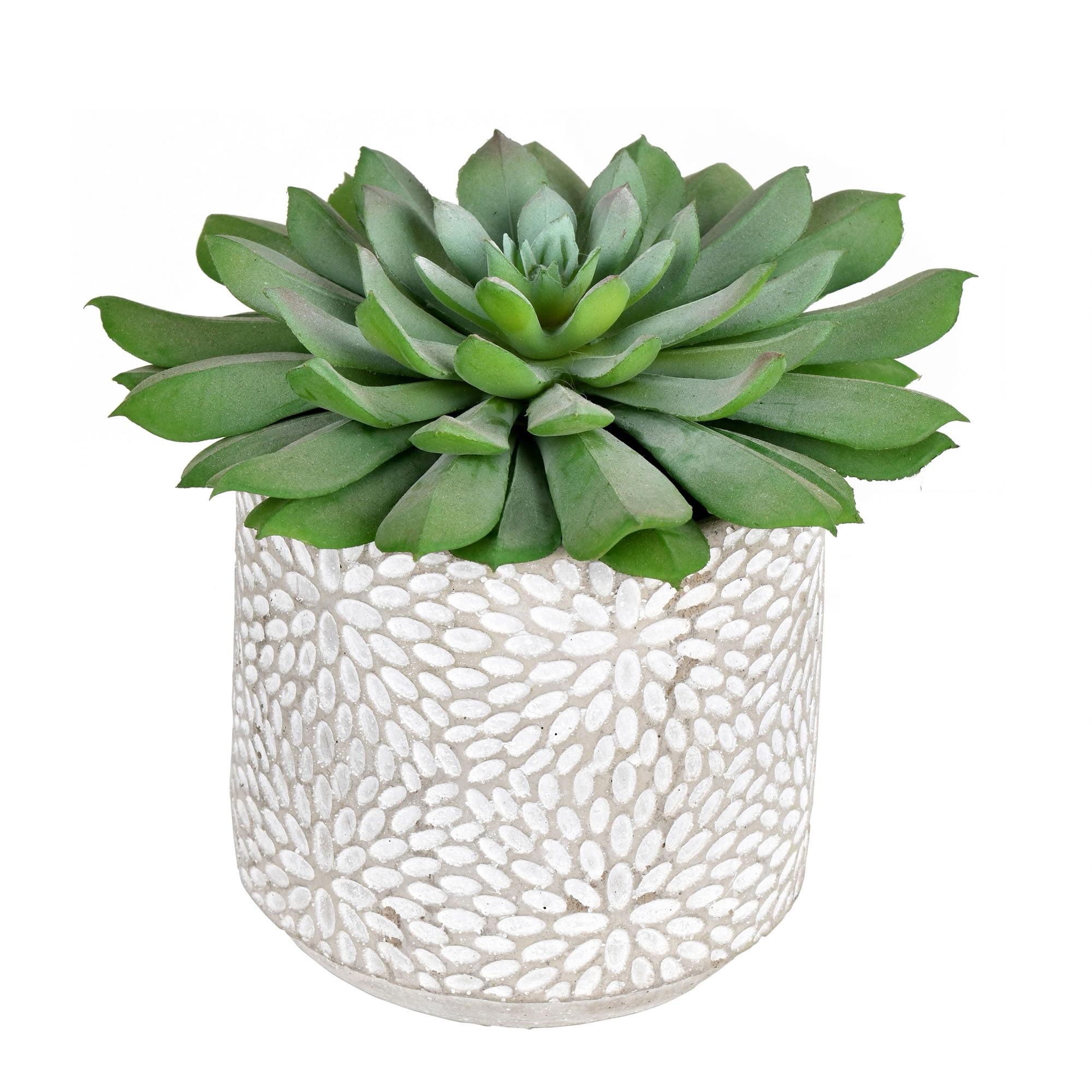 Green Plastic Potted Succulent Tabletop Centerpiece, 13"