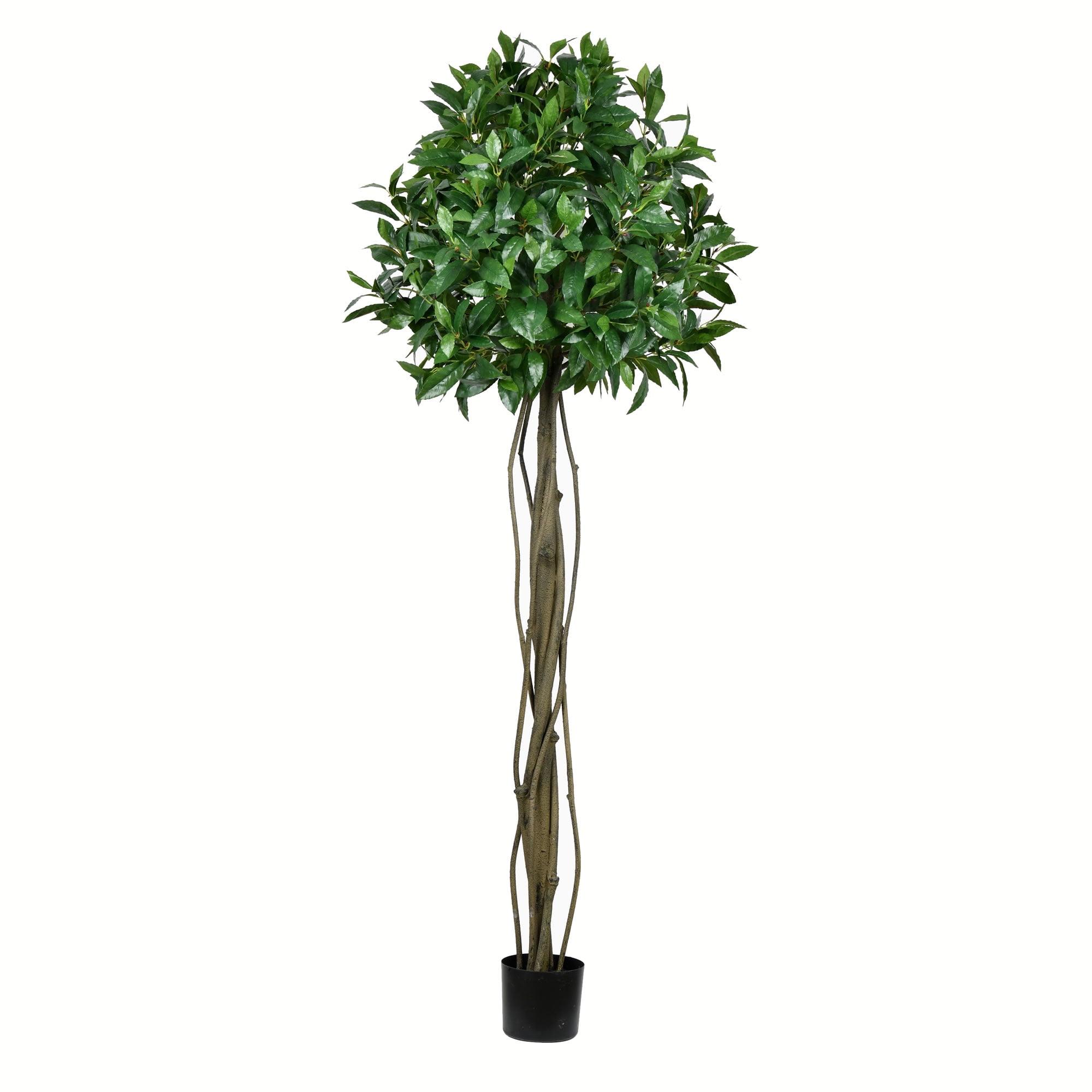 6' Green Plastic Bay Leaf Topiary in Black Pot