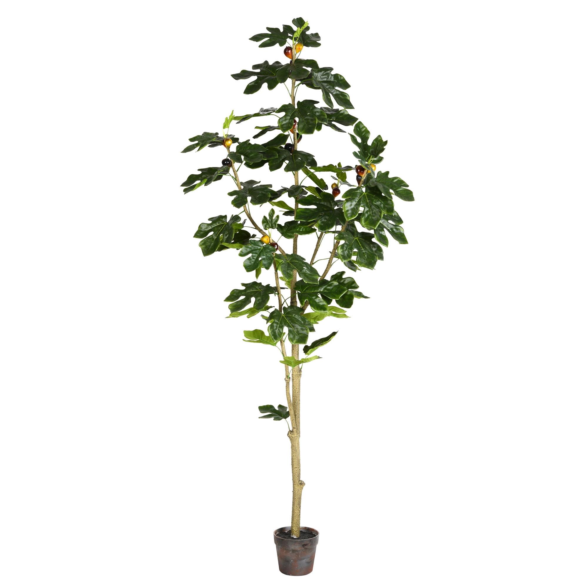 Vickerman 6' Artificial Potted Fig Tree.