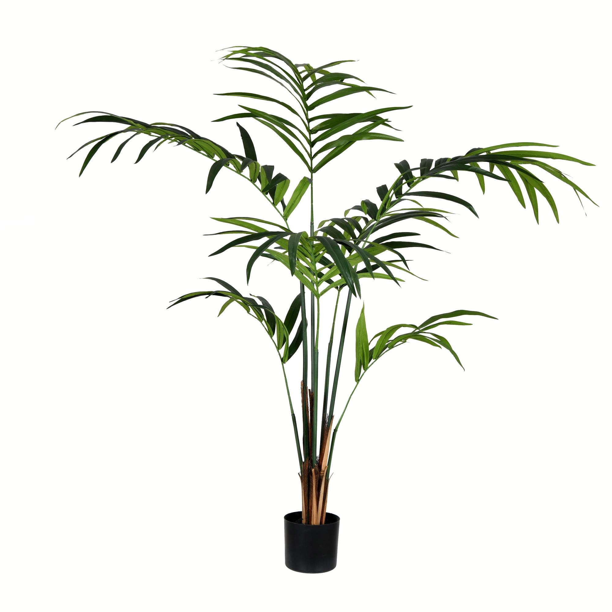 Tropical Oasis 6' Faux Kentia Palm in Sturdy Black Planter