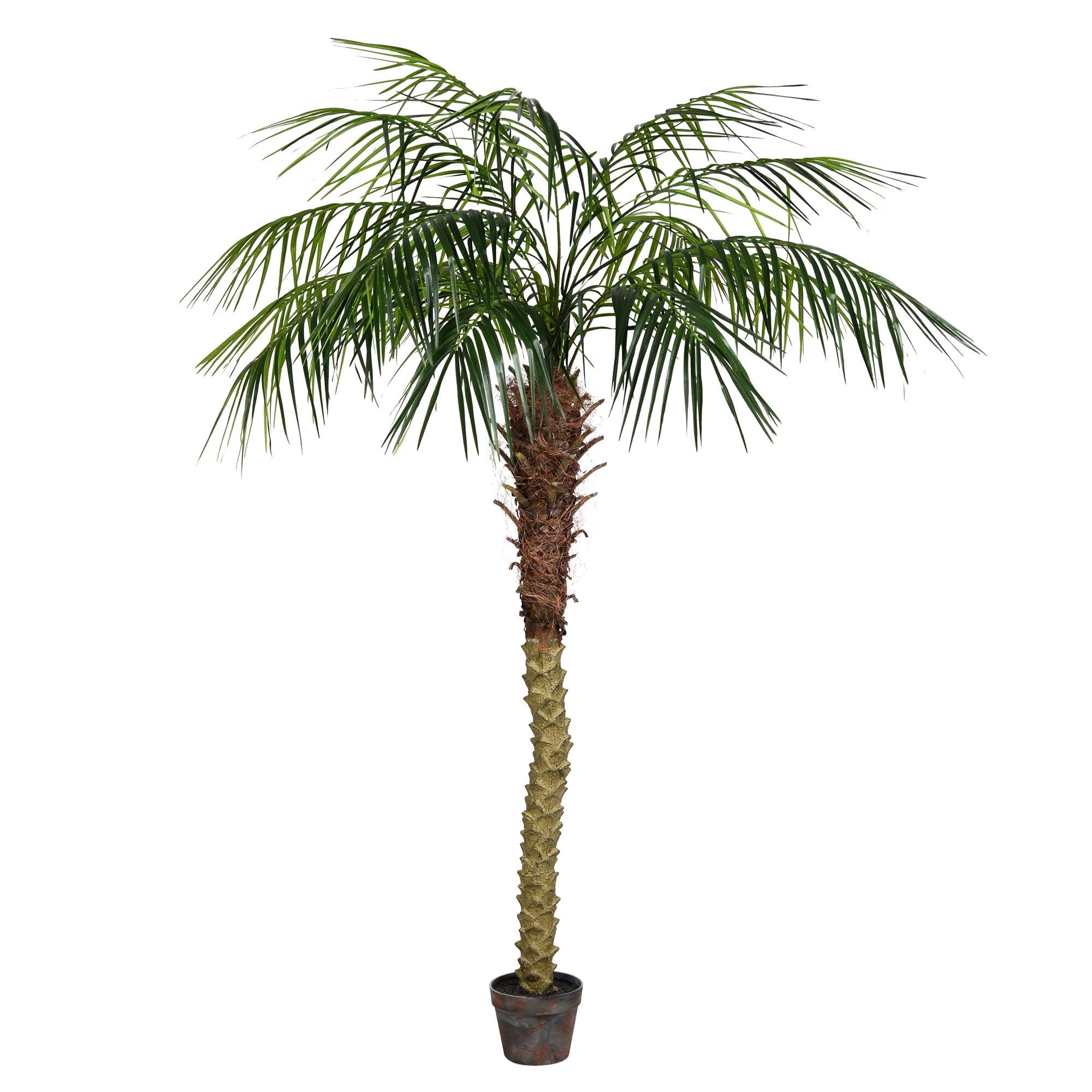 6' Tall Black Potted Plastic Phoenix Palm Tree