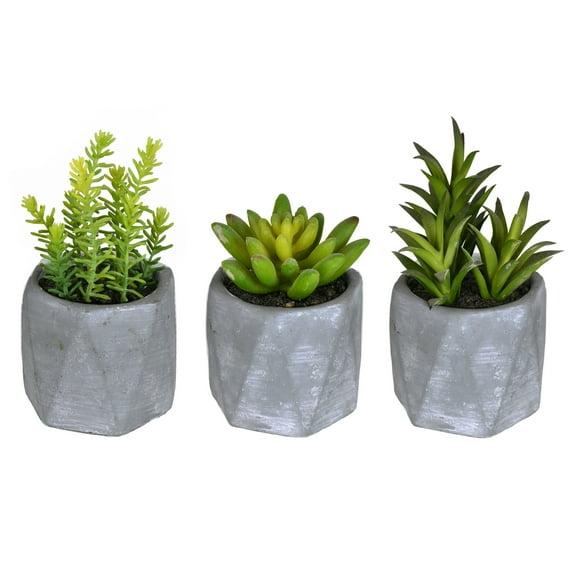 Vickerman 6" Artificial Potted Succulent Arrangements, Set of 3.