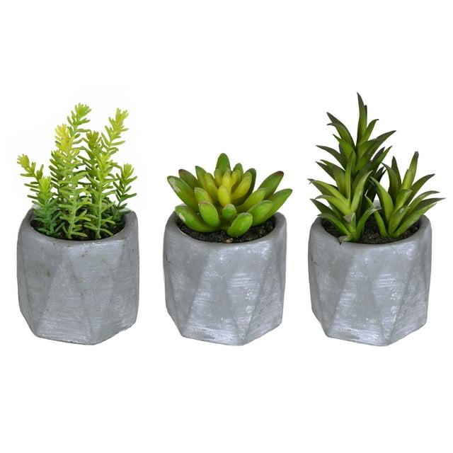 Vickerman 6" Artificial Potted Succulent Arrangements, Set of 3.