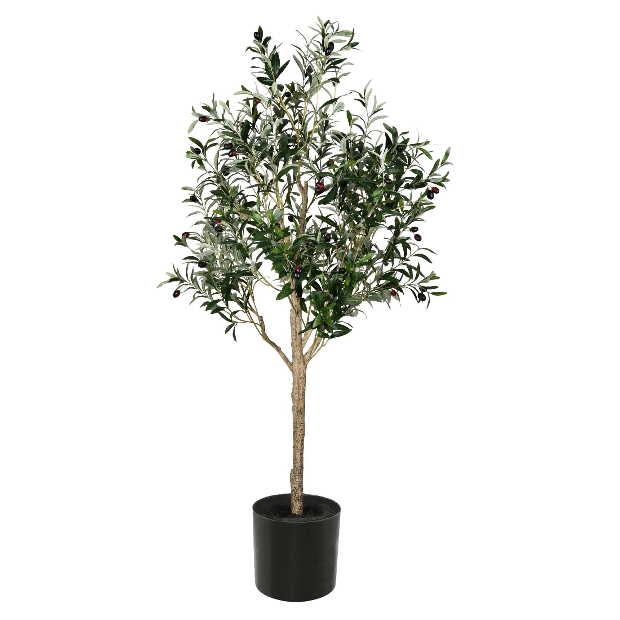 Vickerman Artificial Green Olive Tree in Black Planters Pot.