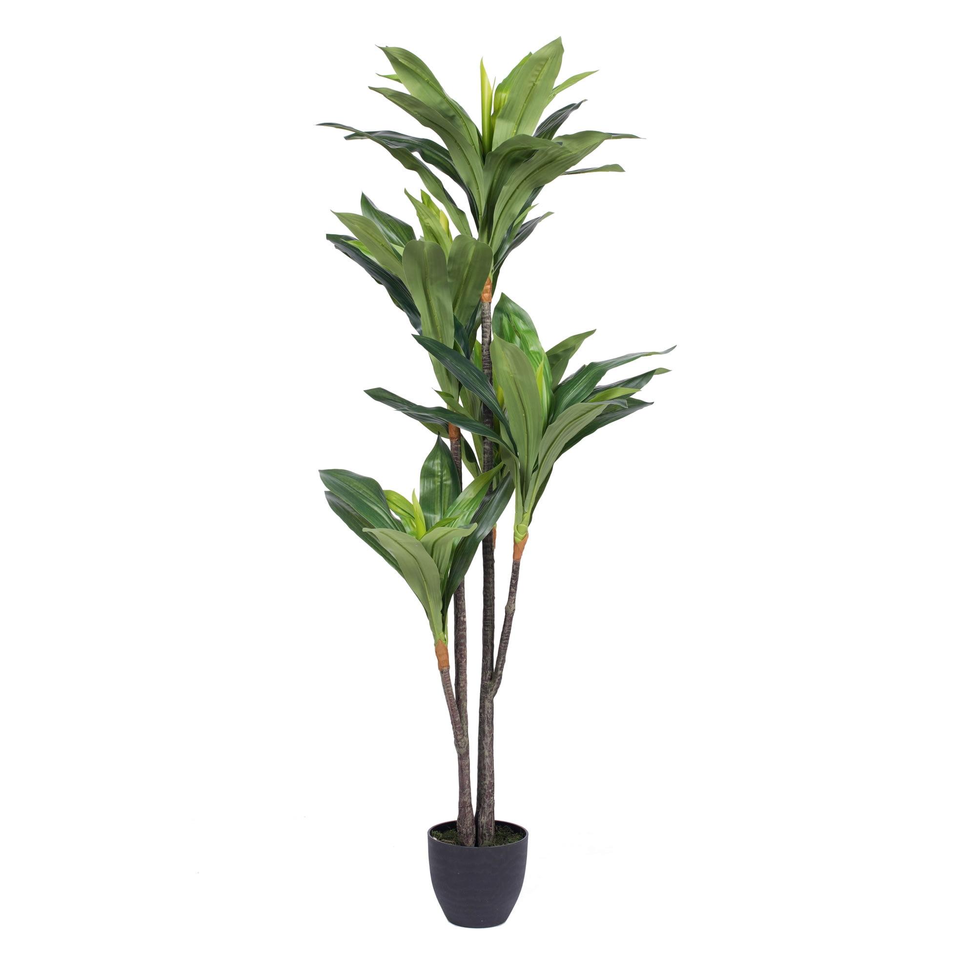 Elegant Silk Touch 63" Dracaena Outdoor Potted Floor Plant