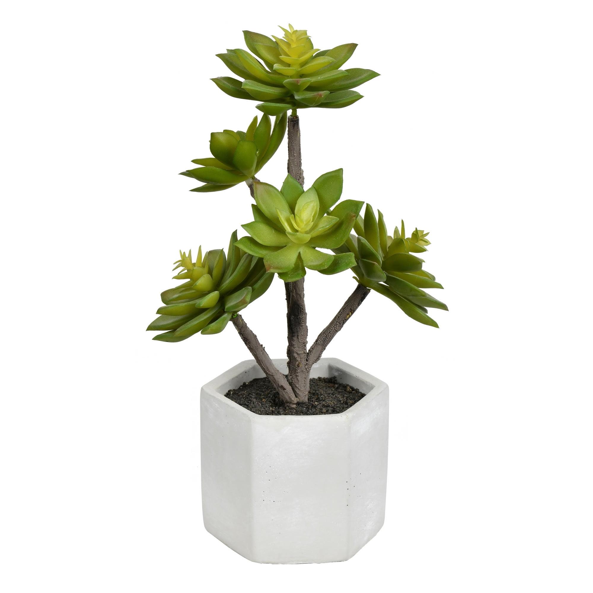 13" Green Artificial Succulent in White Cement Pot