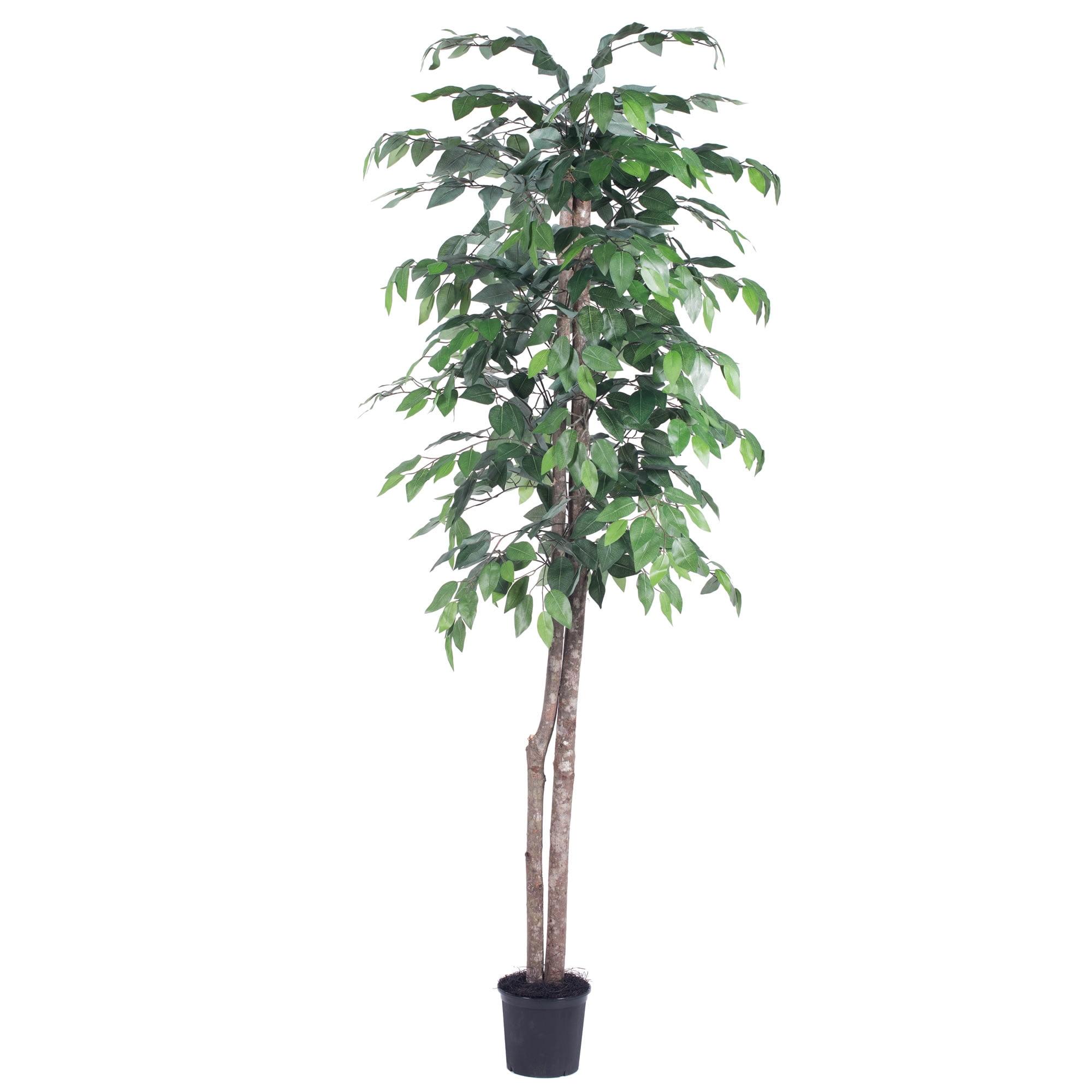 78" Green Silk and Plastic Potted Ficus Floor Plant
